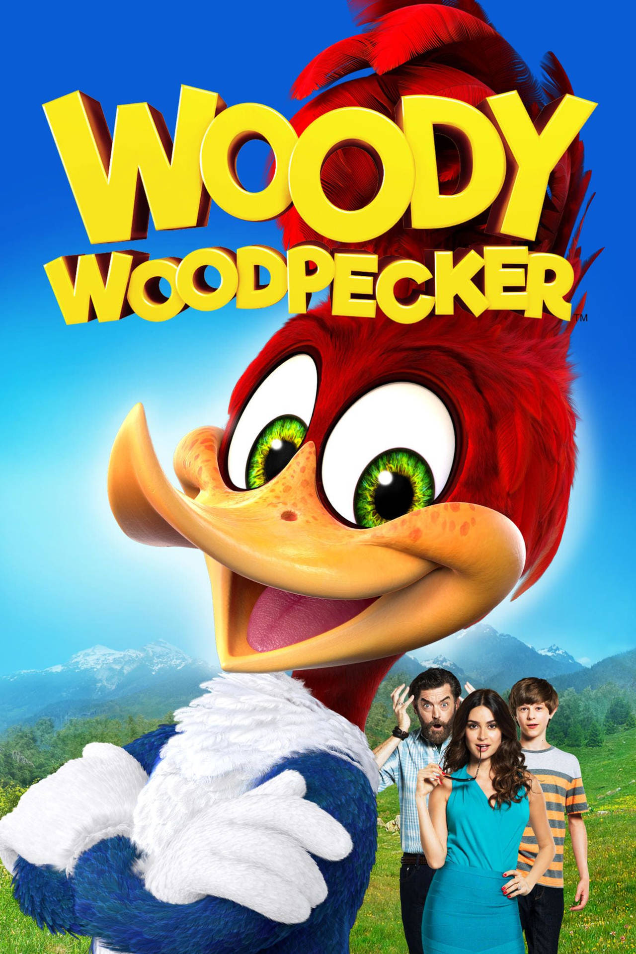 Woody Woodpecker 2017 Cast - Hd Wallpaper & Background Background