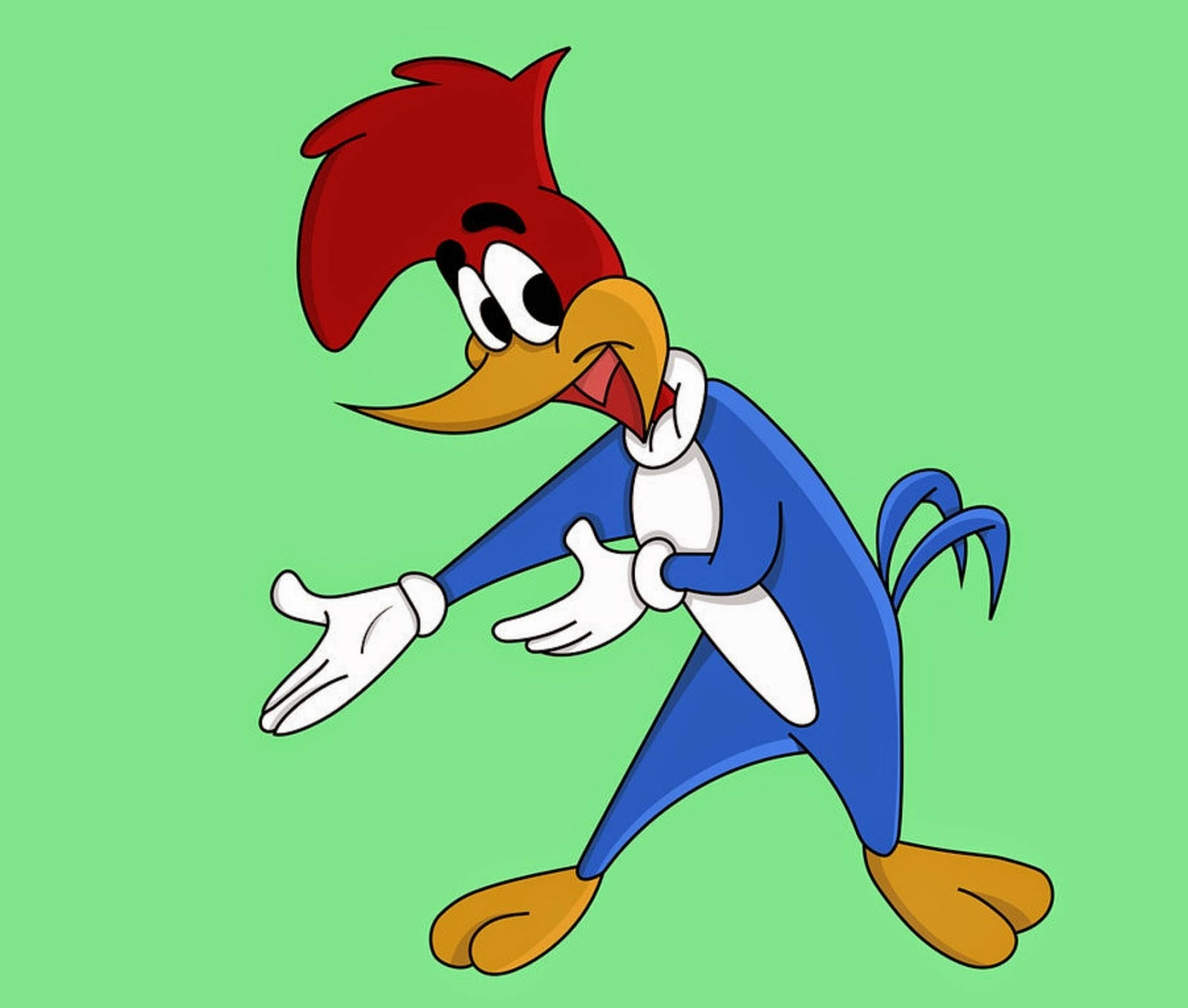 Woody Woodpecker Hd Wallpaper Background