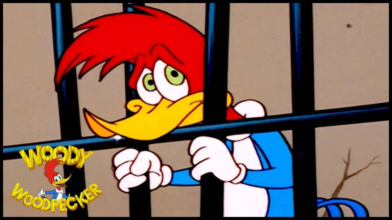 Woody Woodpecker Show. 1 Hour Compilation. Cartoons For Children Background