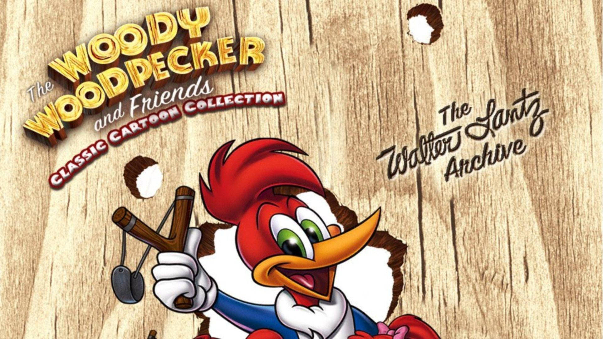 Woody Woodpecker Wallpaper Background