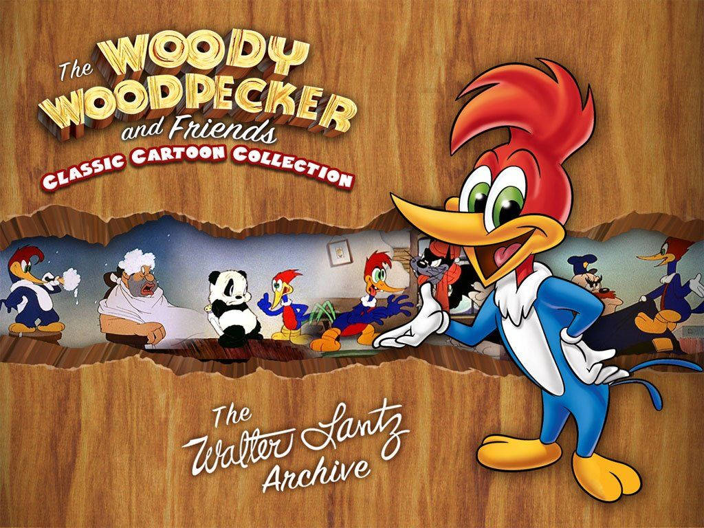 Woody Woodpecker Wallpaper S25 Background