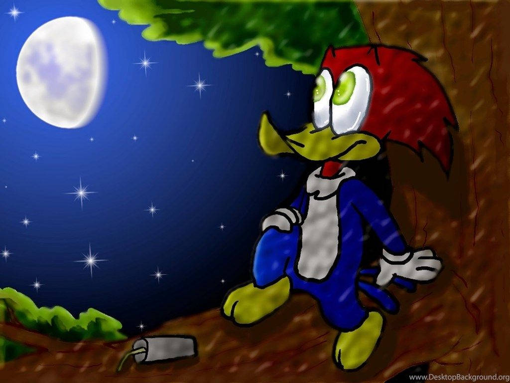 Woody Woodpecker Wallpaper Widescreen Background