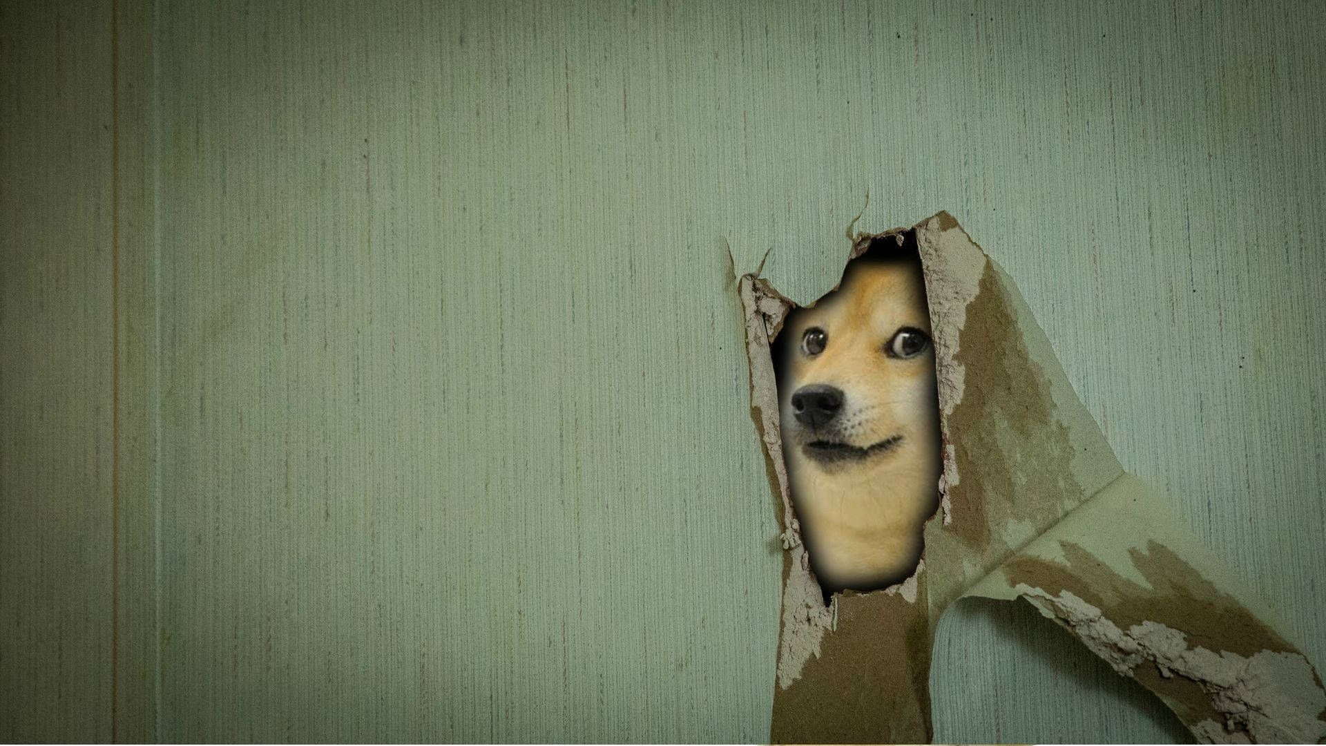 Woof, Woof! I'm Ready To Break Through This Wall. Background