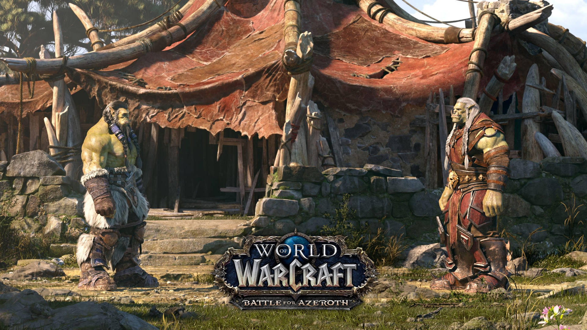World Of Warcraft Battle For Azeroth Thrall And Varok Background