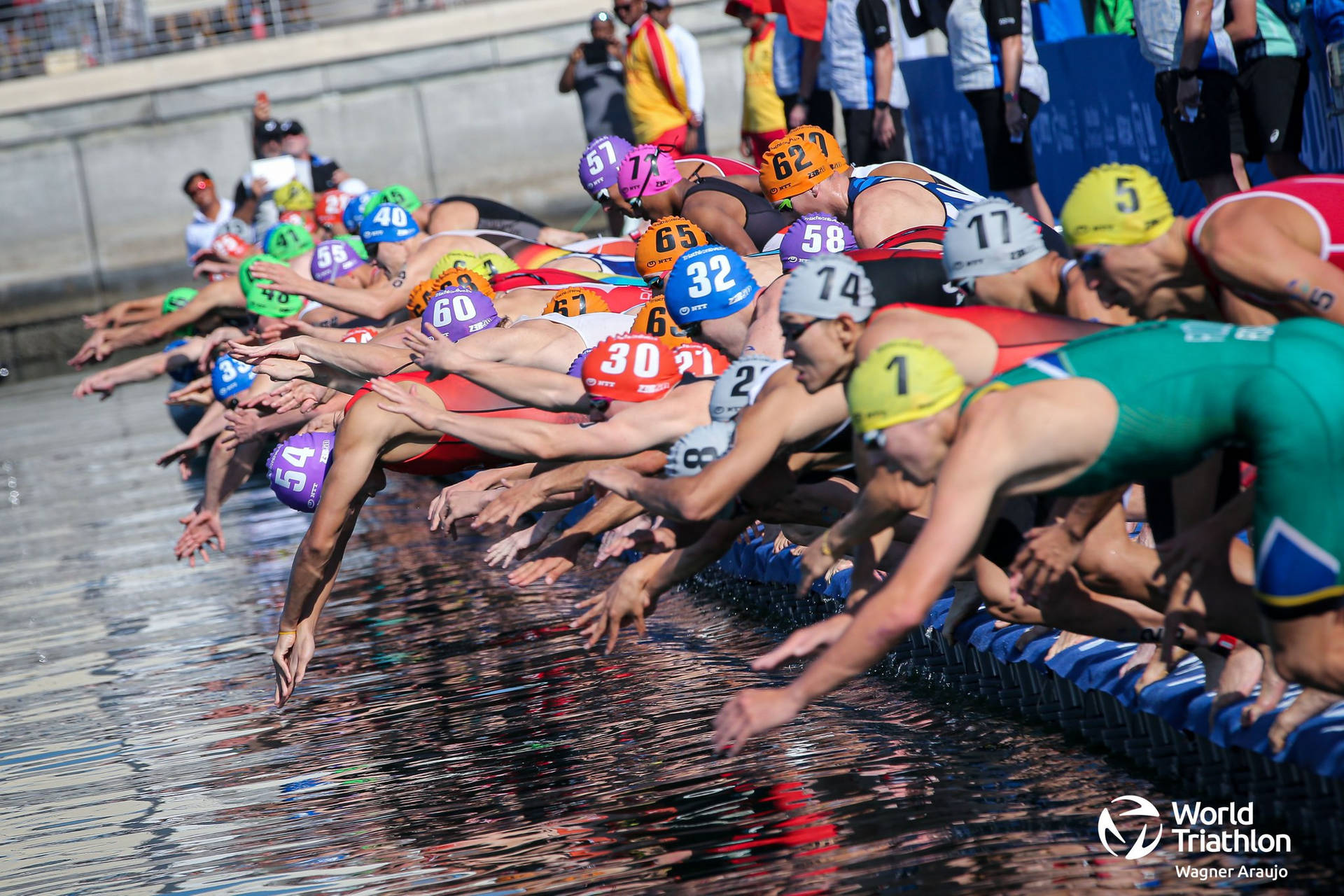 World Triathlon Championship