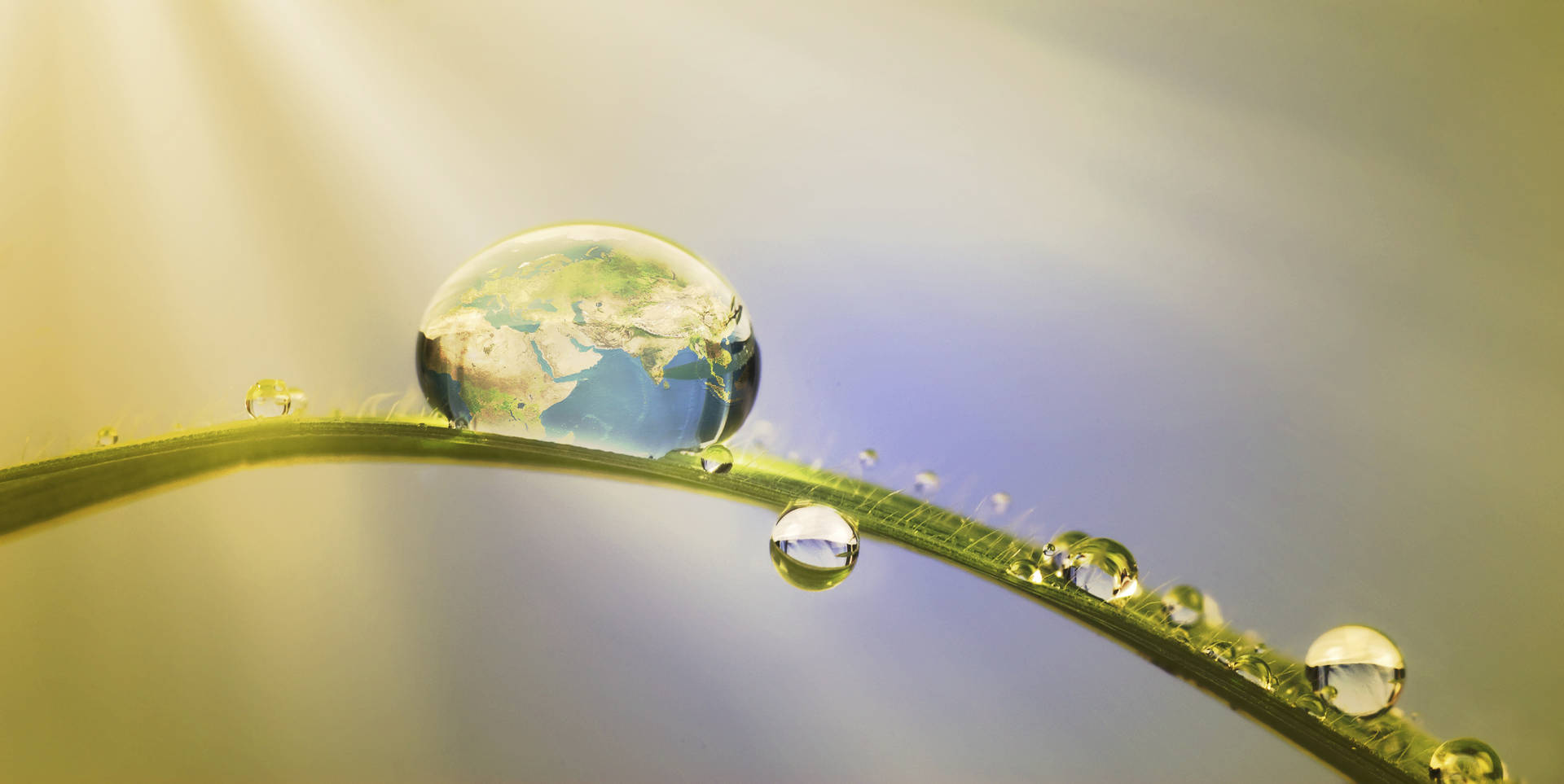 Worldin Dewdrop Desktop Wallpaper Background