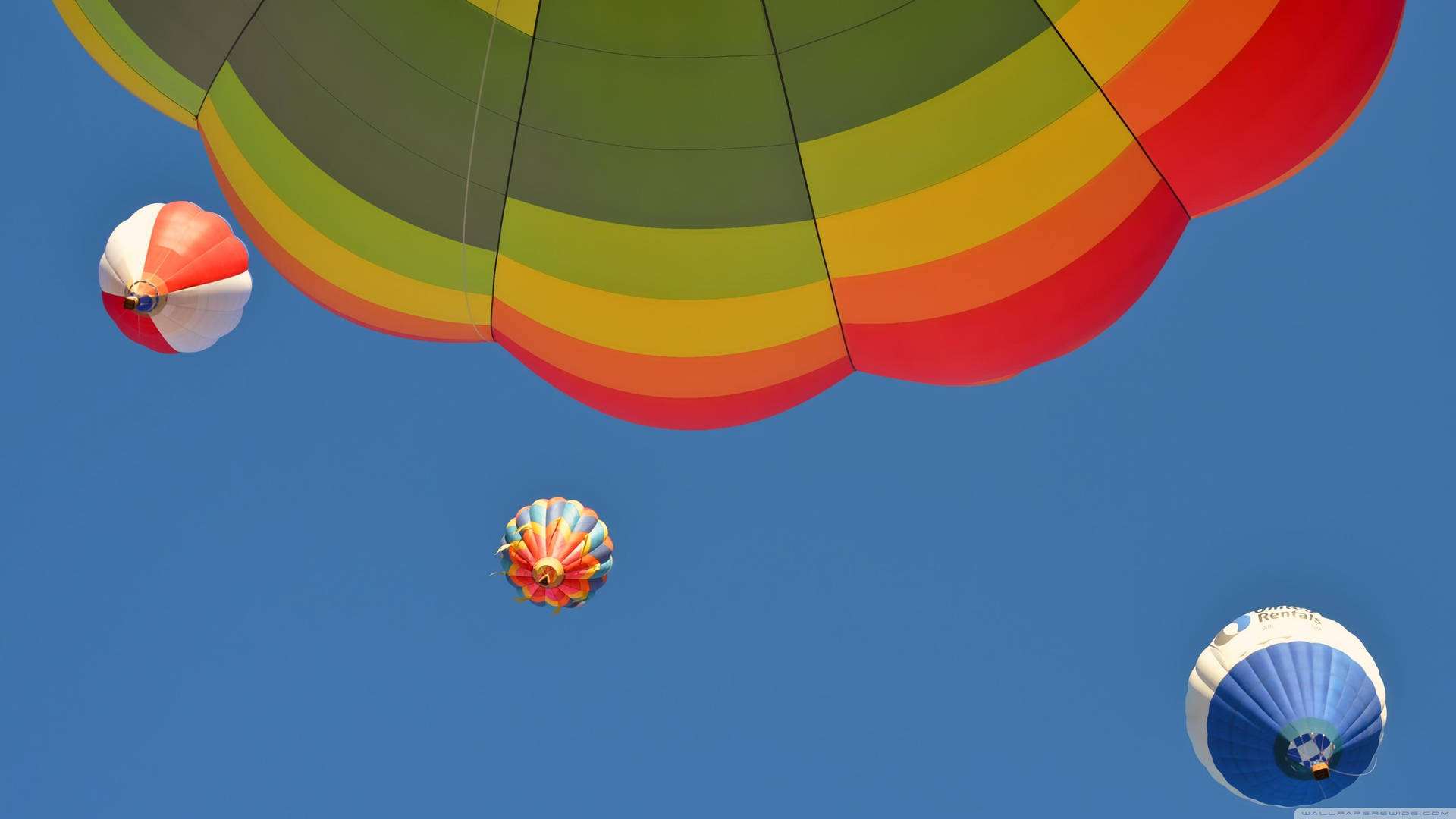 Worm’s Eye View Albuquerque Balloons Background