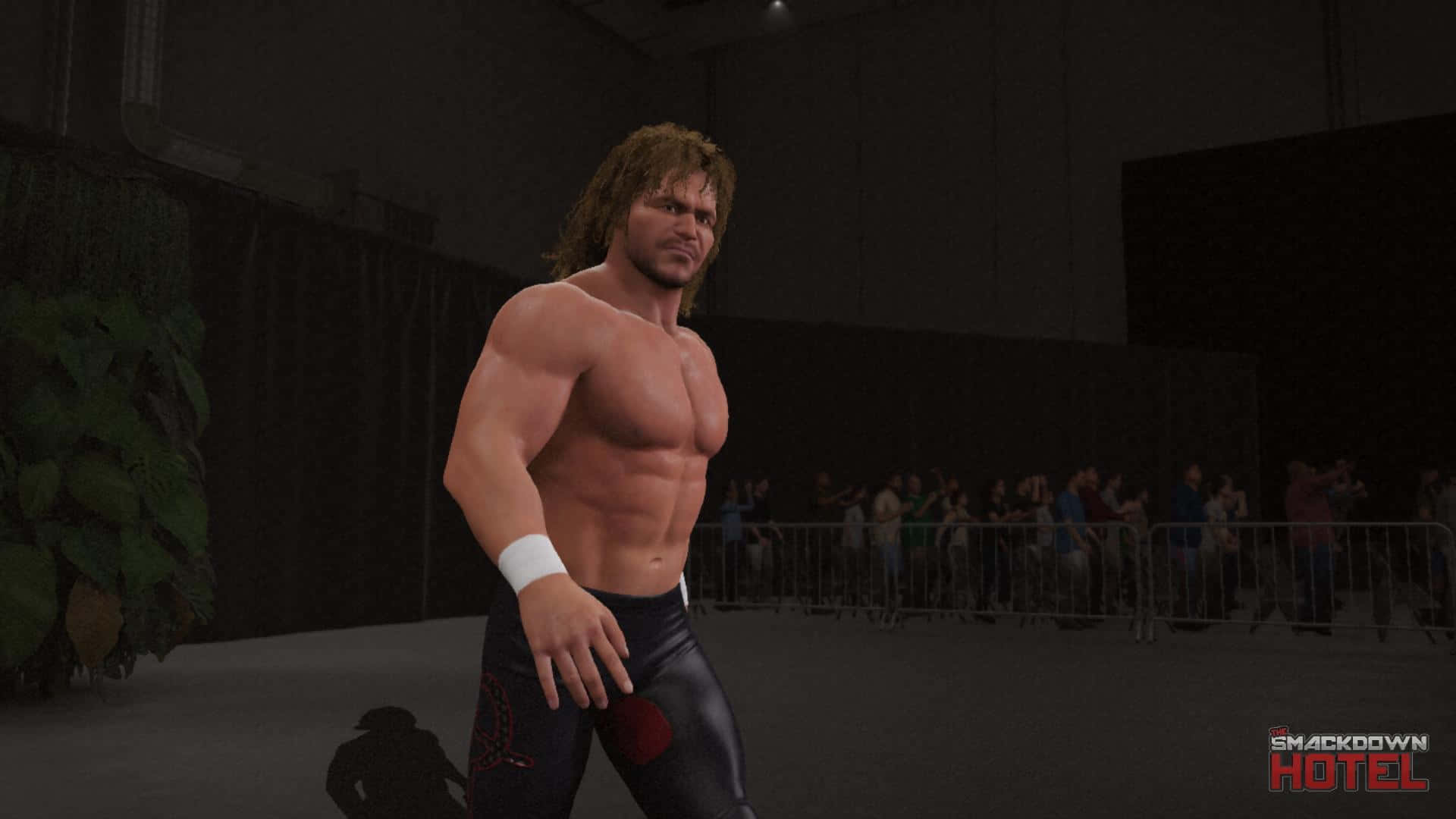Wrestler Brian Pillman W2k22 Background