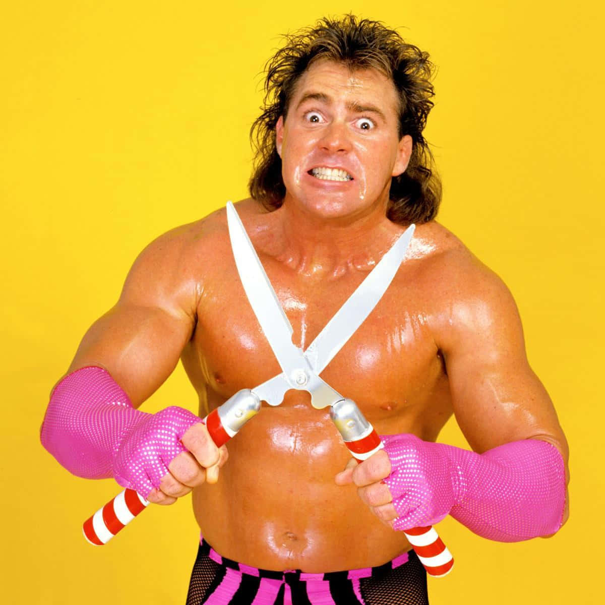 Wrestler Brutus Beefcake In His Prime Background