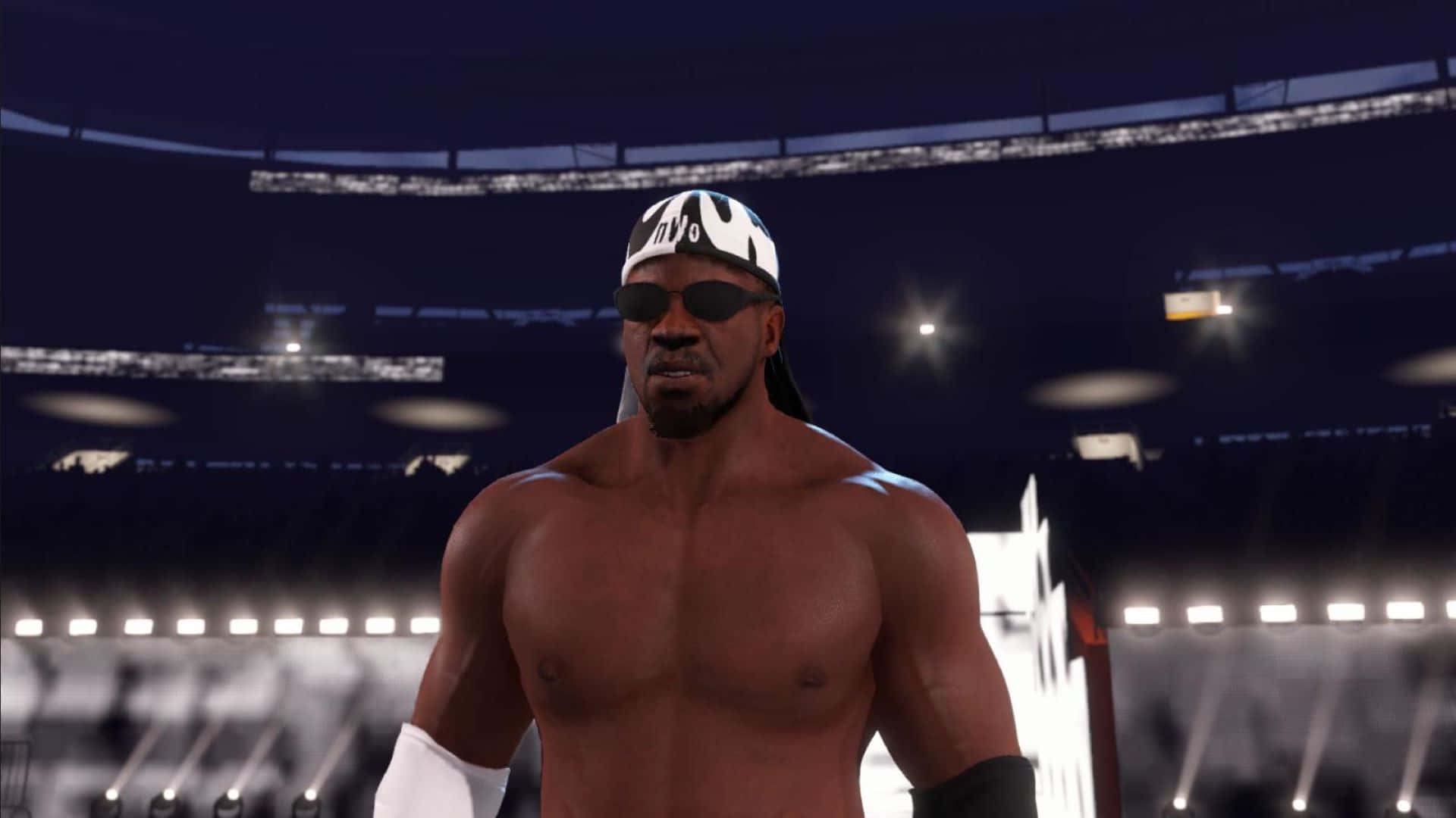 Wrestler_ Stevie_ Ray_ Stadium_ Background Background