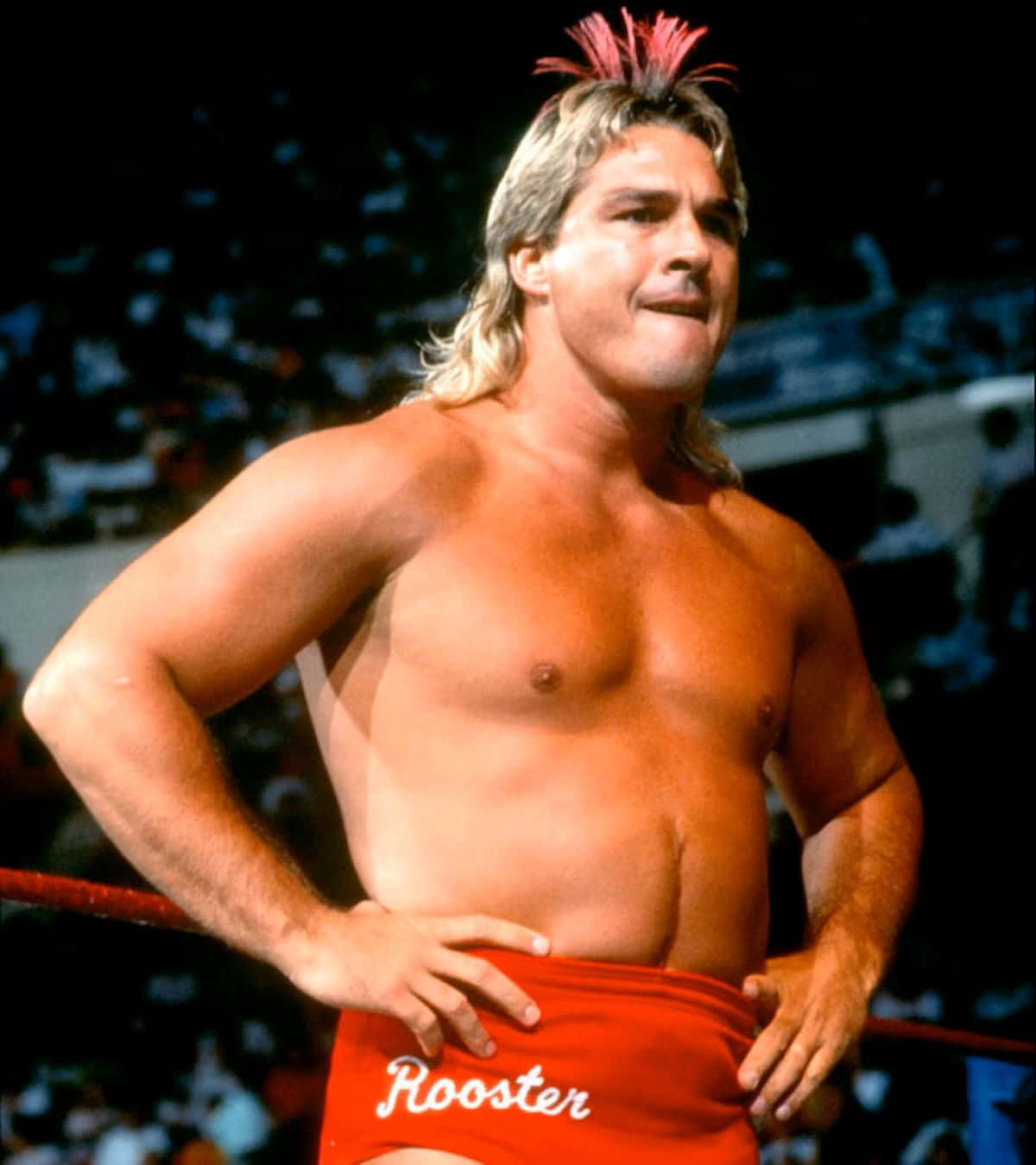 Wrestler With Rooster Headgear Background