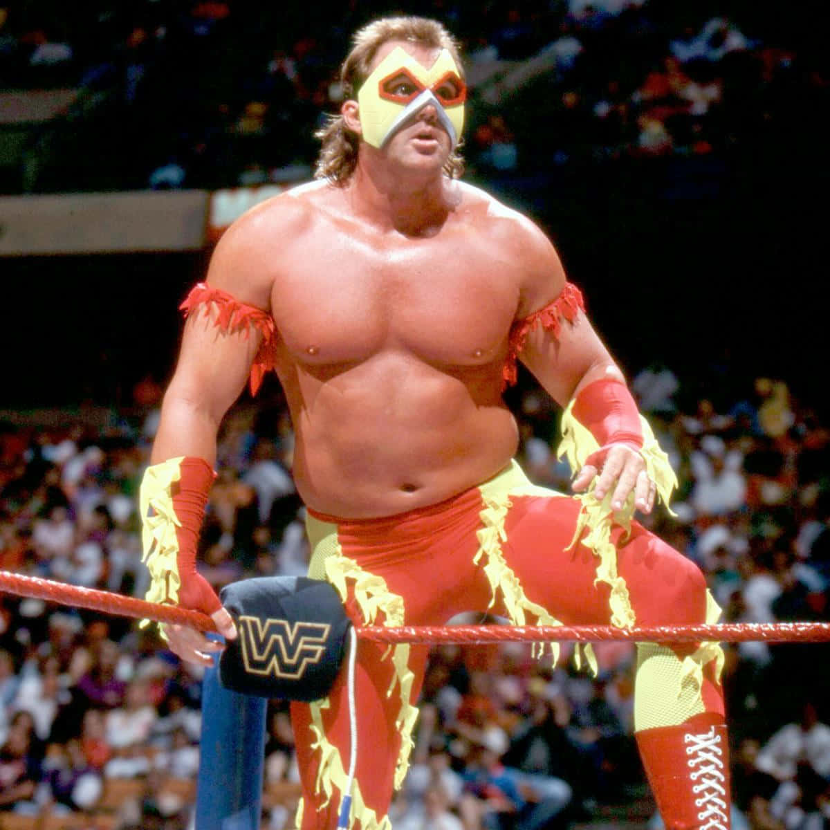 Wrestlerin Flame Attire Background