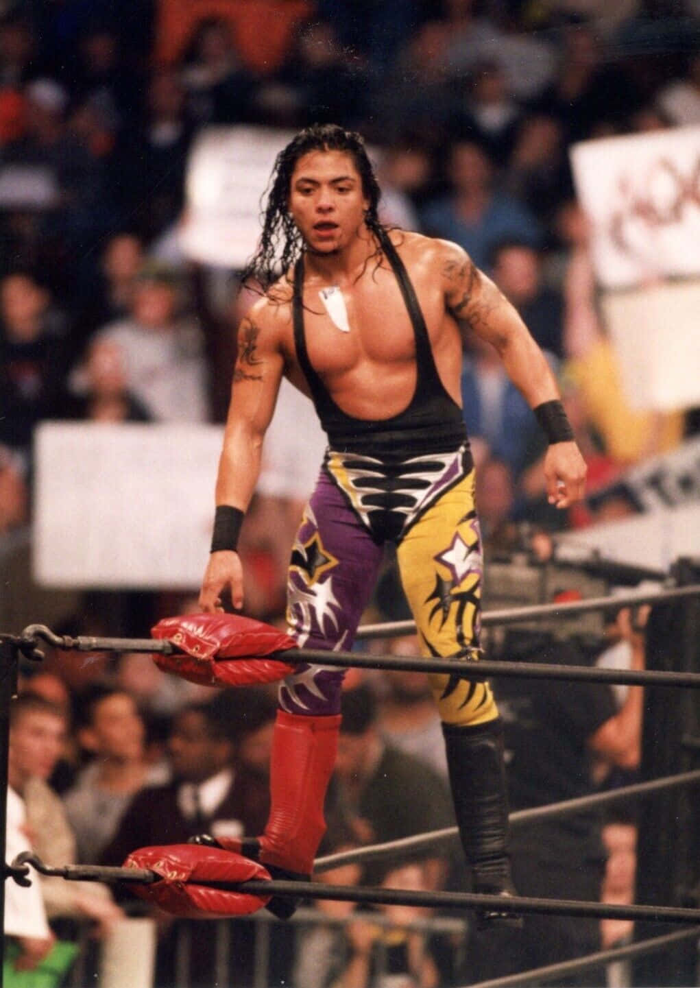 Wrestlerin Ring Attire