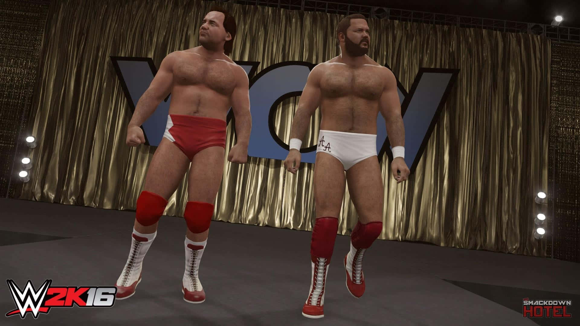 Wrestlers Larry Zbyszko And Arn Anderson Wwe 2k16 Background