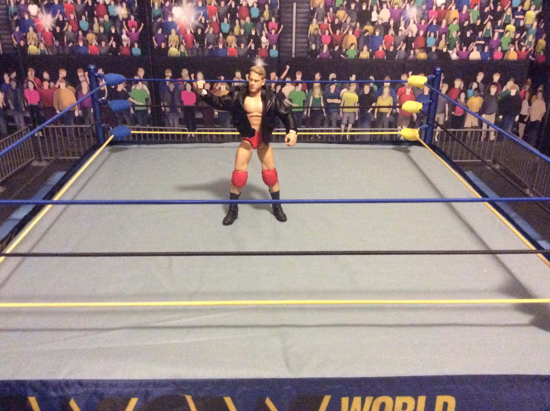 Wrestling Figurein Ring Background