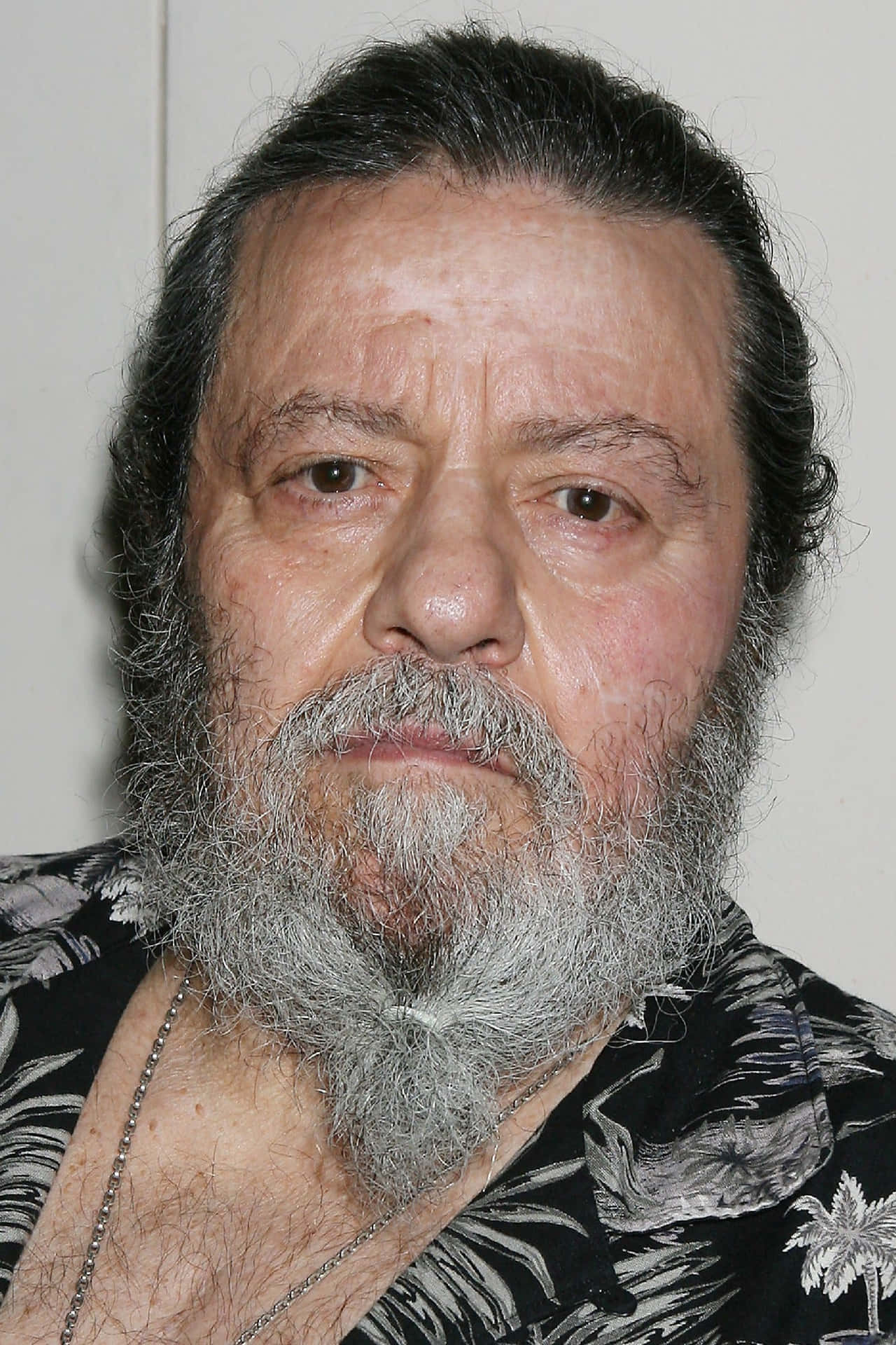 Wrestling Legend Lou Albano At Big Apple Comic Con 2006 Background