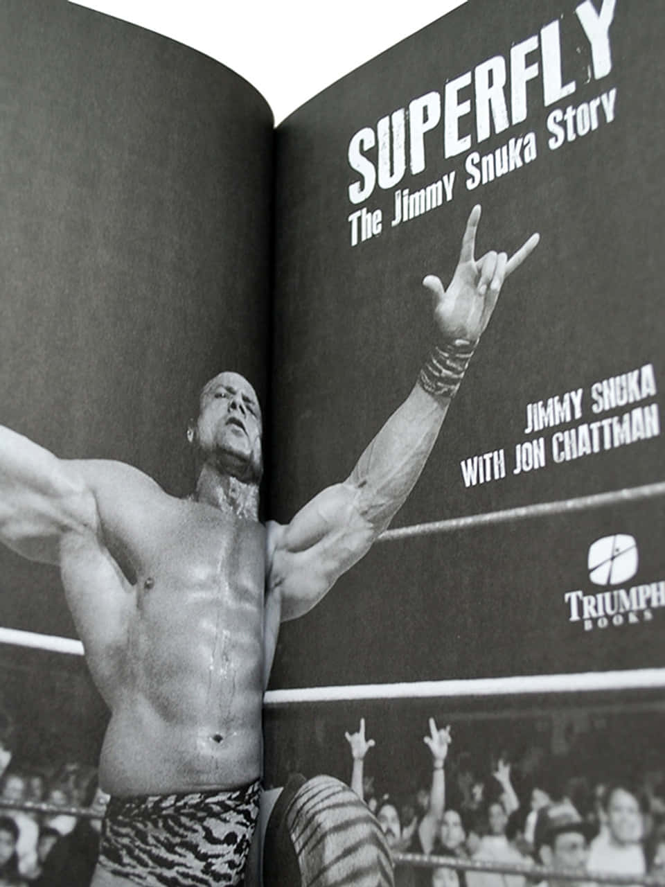 Wrestling Legend 