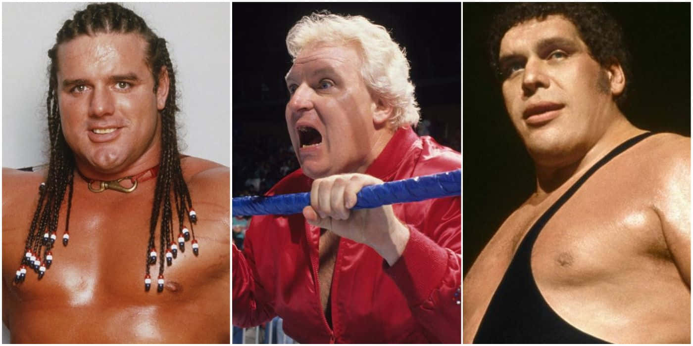 Wrestling Legends Collage Background