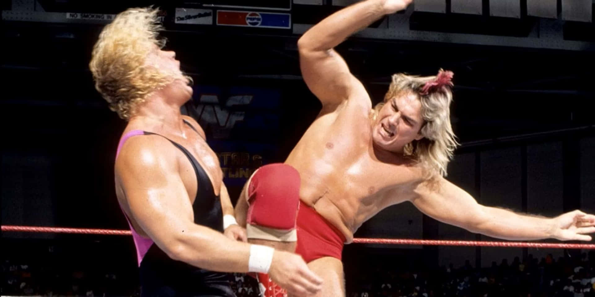 Wrestling Match Action Shot Background