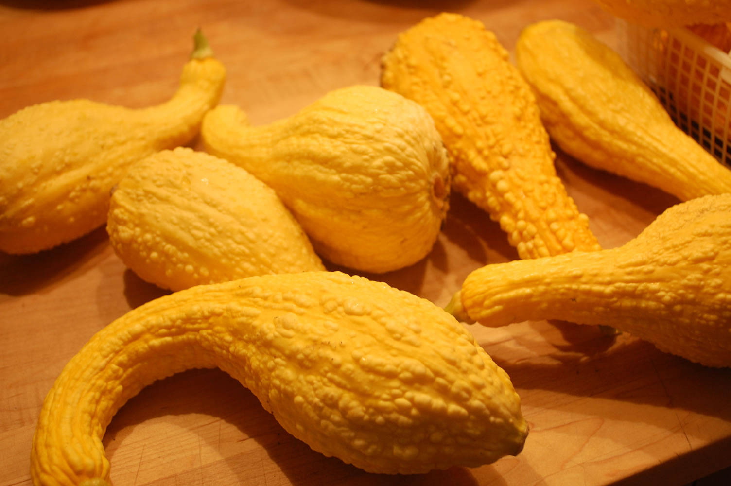 Wrinkly Yellow Squash Veggies Background