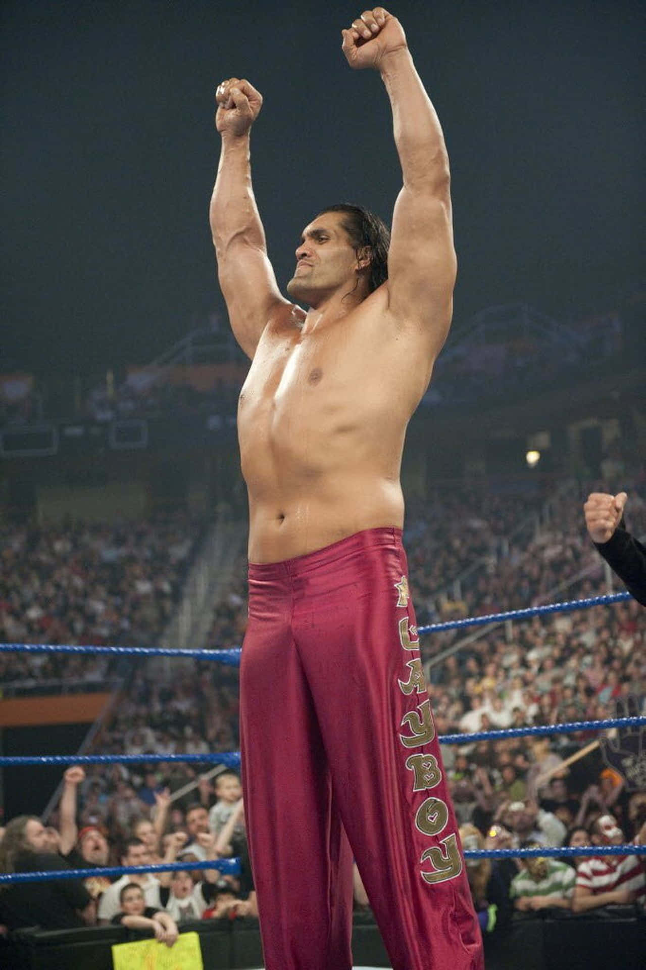 Wwe Indian Wrestler The Great 2009 Background