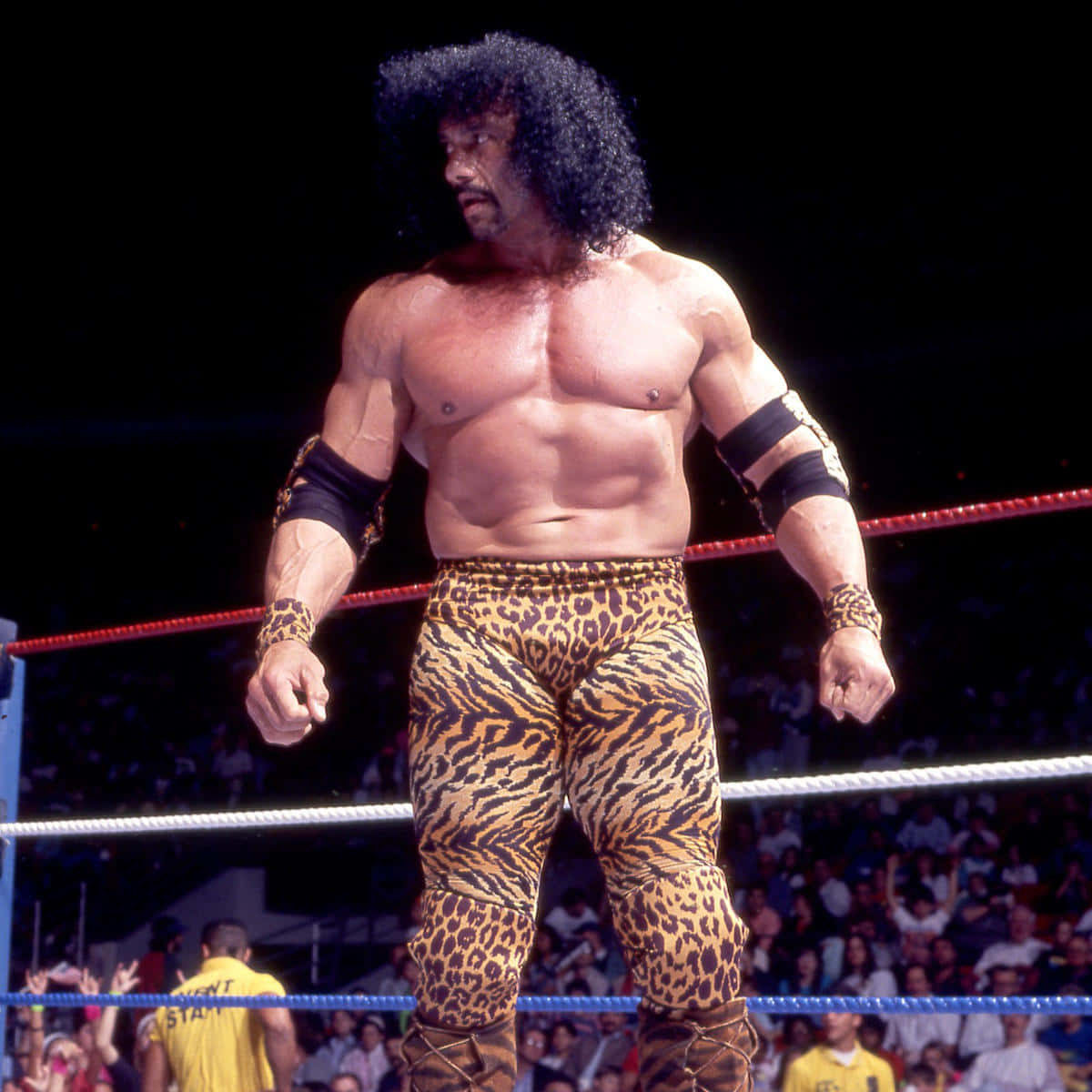 Wwe Leopard Jimmy Snuka Background