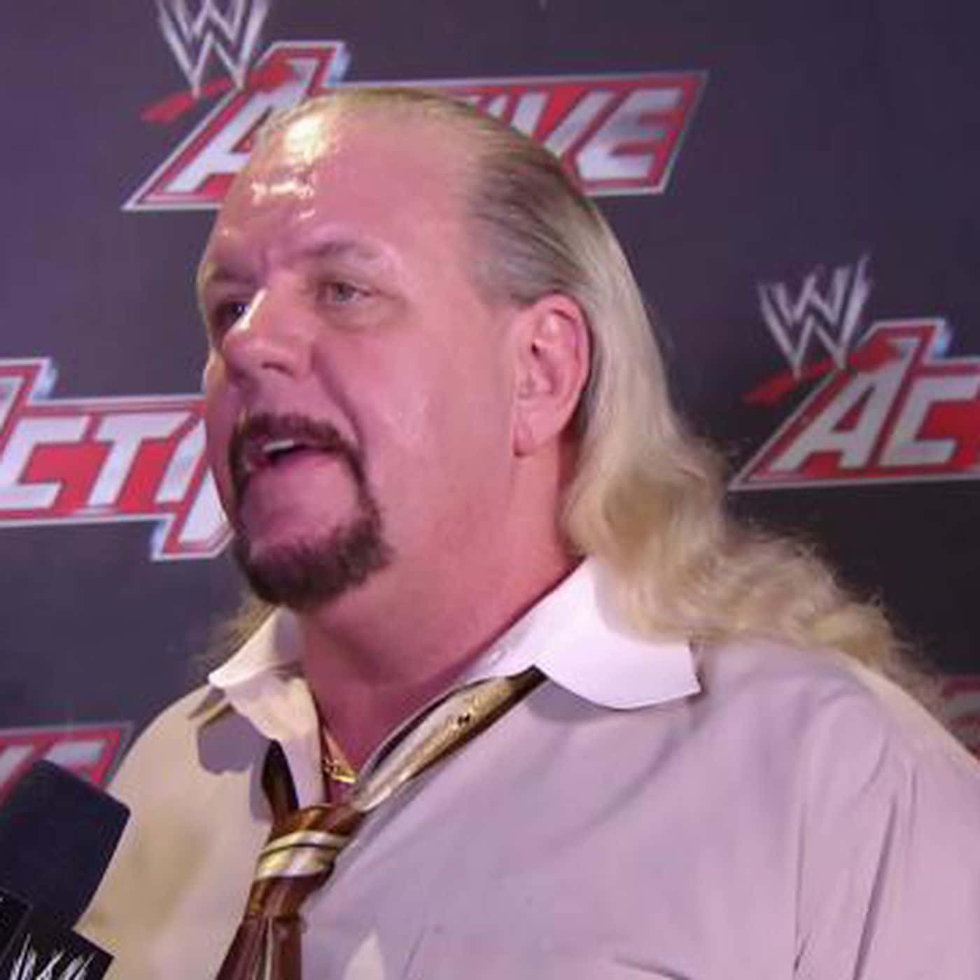 Wwe Michael Hayes In An Event Interview Background