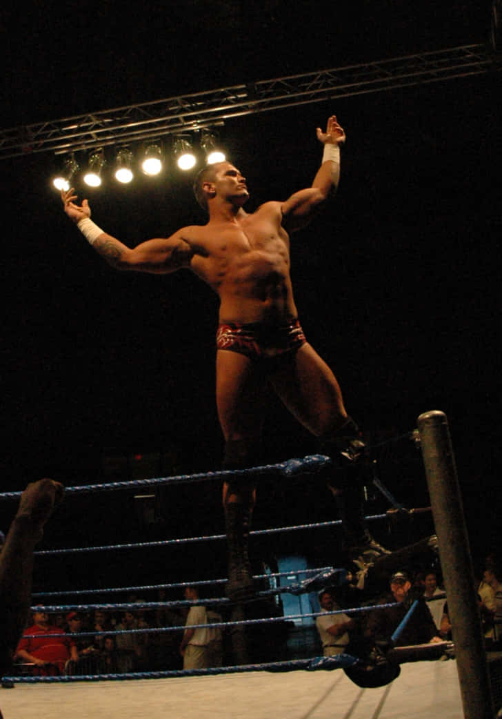 Wwe Superstar Randy Orton Background