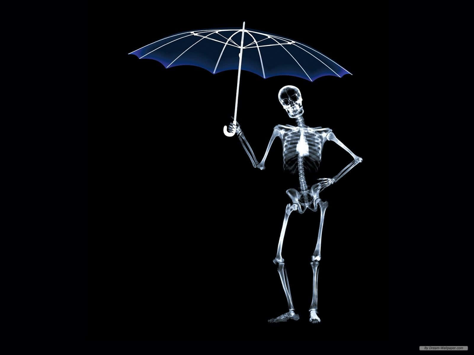 X-ray Shows Human Skeleton Background