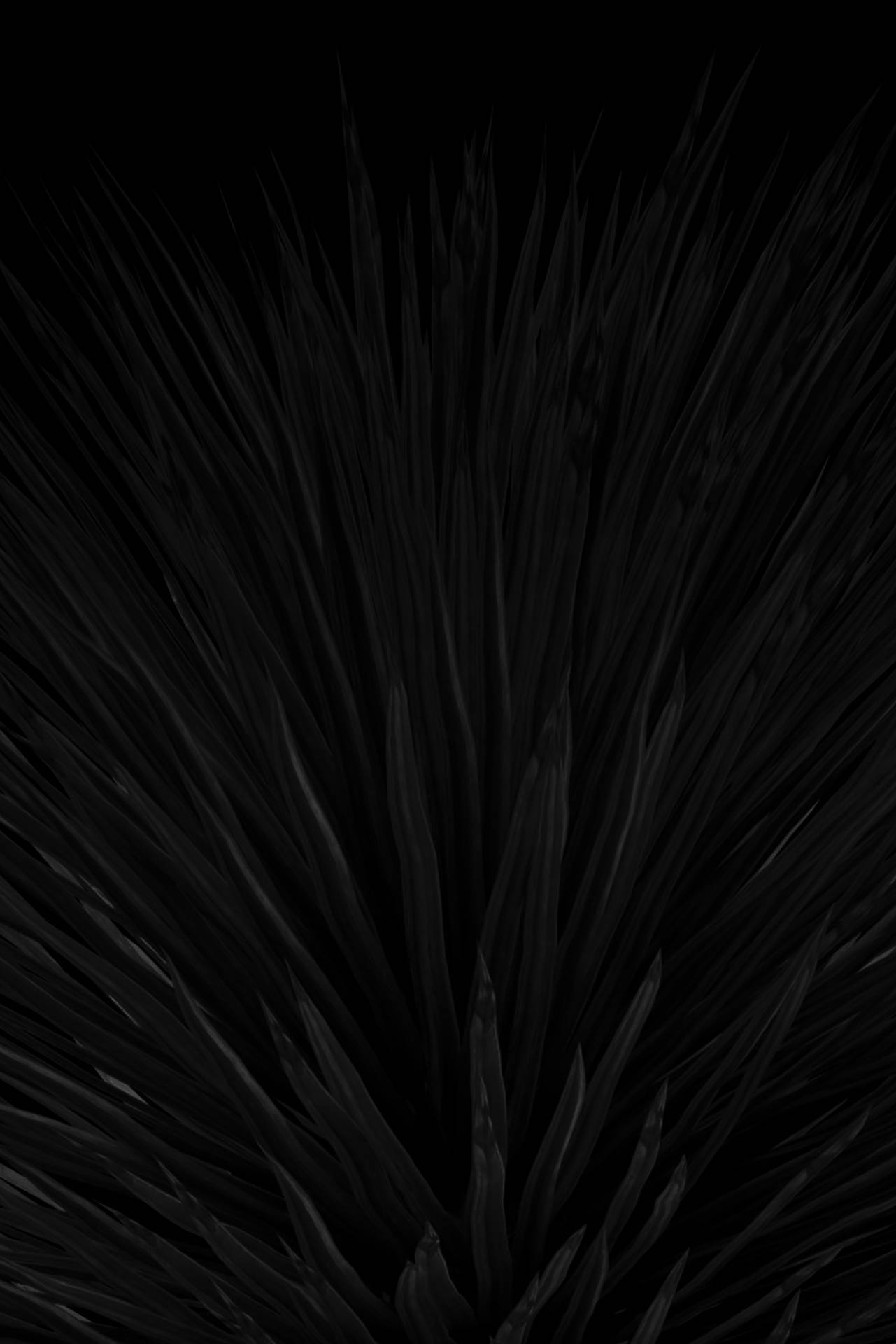 Xanthorrhoea Plant Black Aesthetic Tumblr Iphone