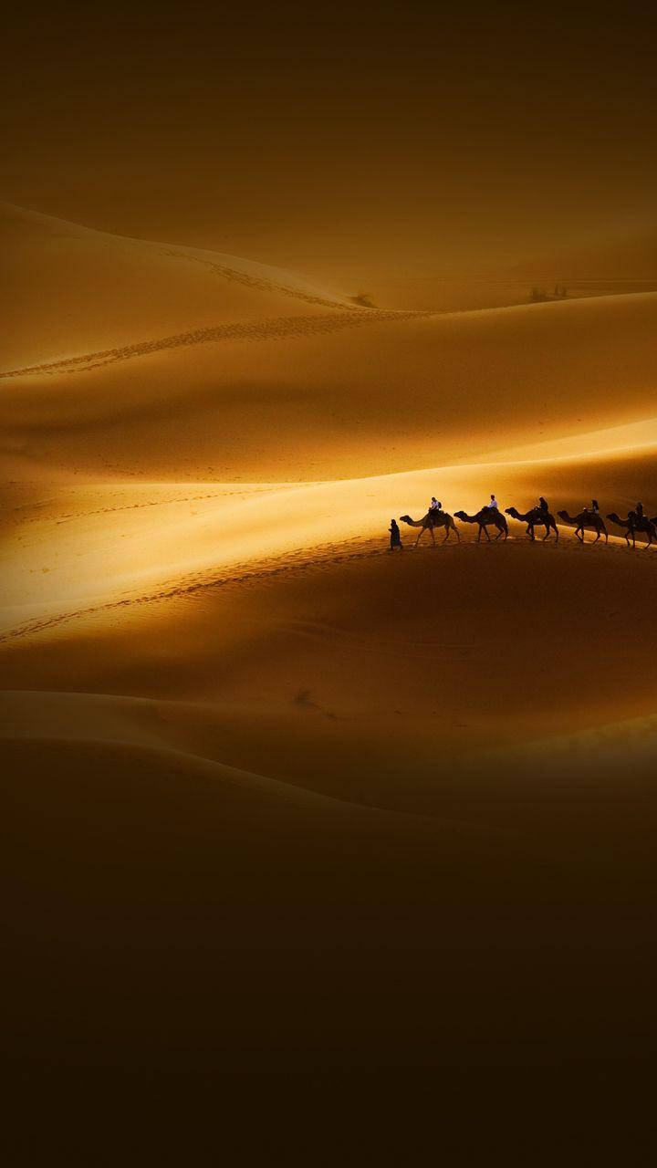 Xiaomi Camels In The Desert Background