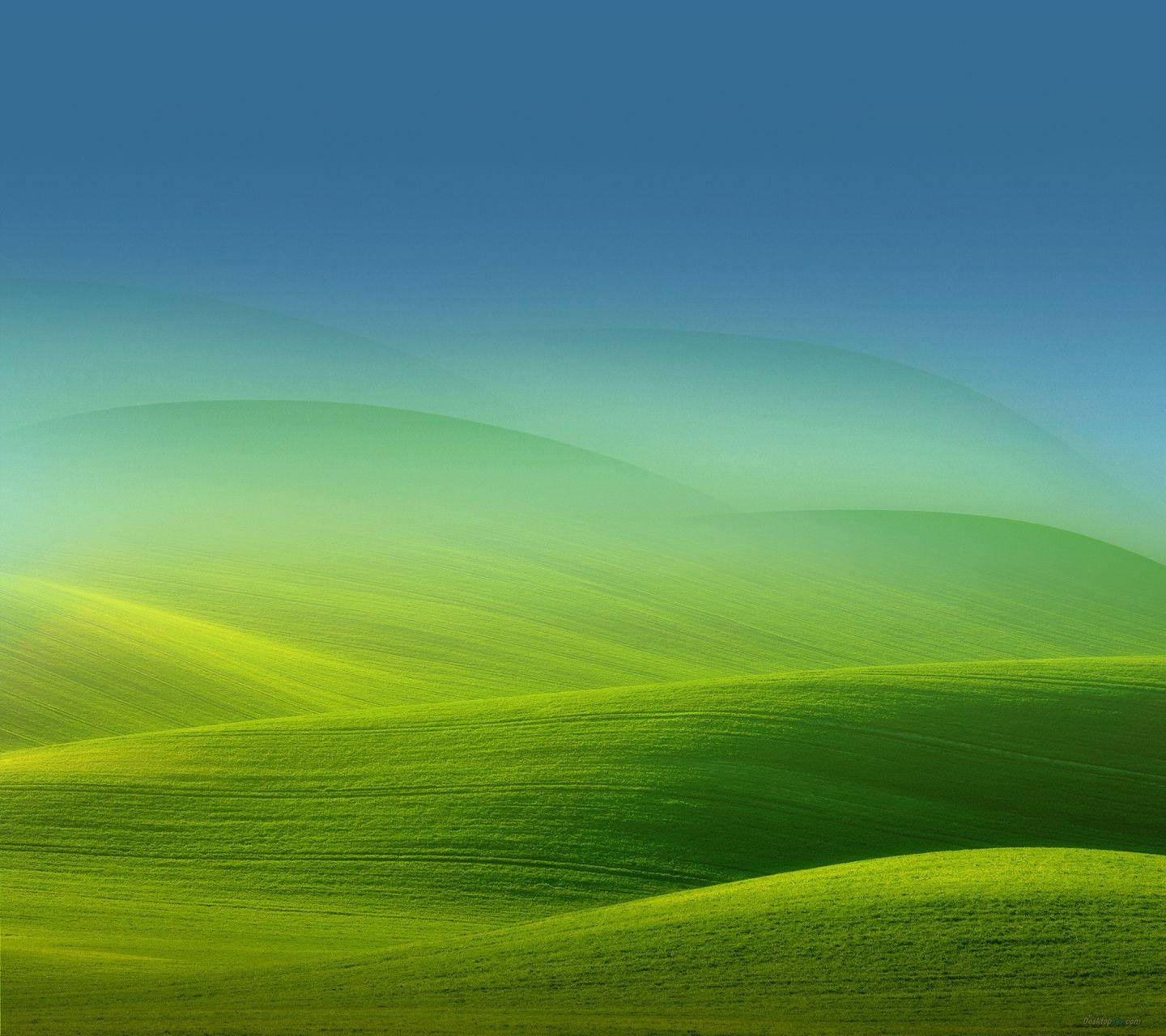 Xiaomi Green Hills Background