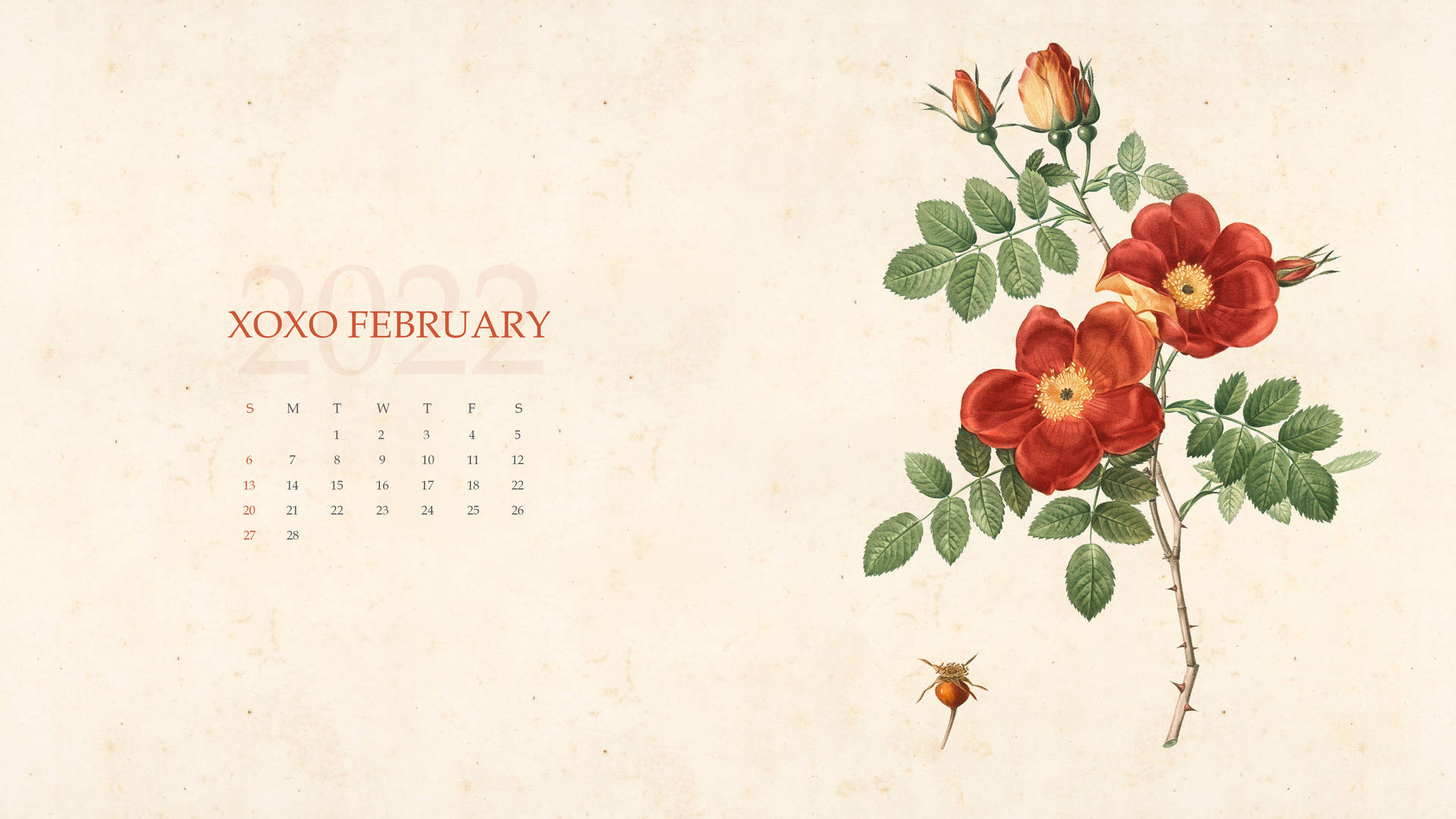Xoxo February 2022 Calendar Background