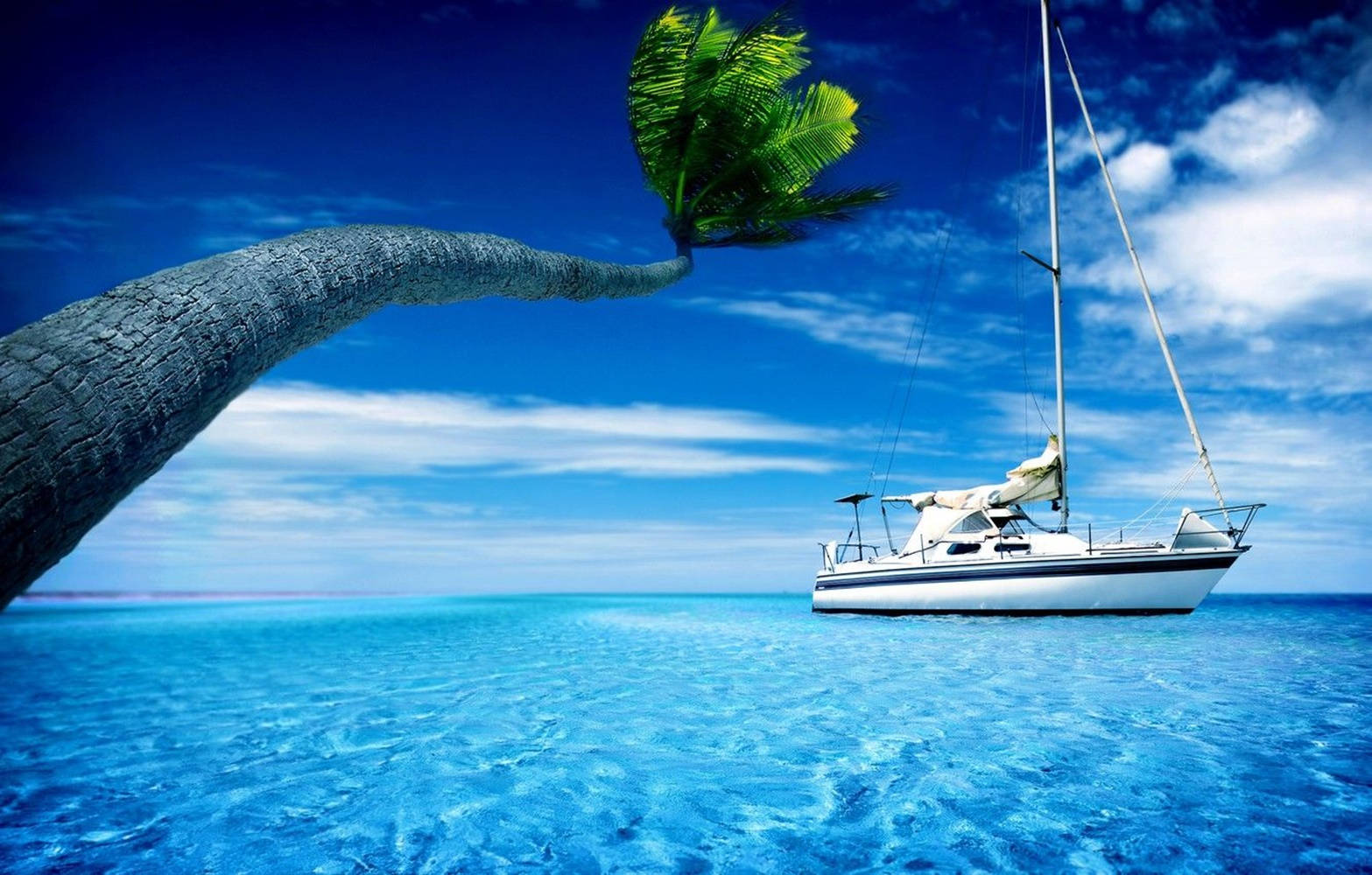 Yacht Bent Tree Background