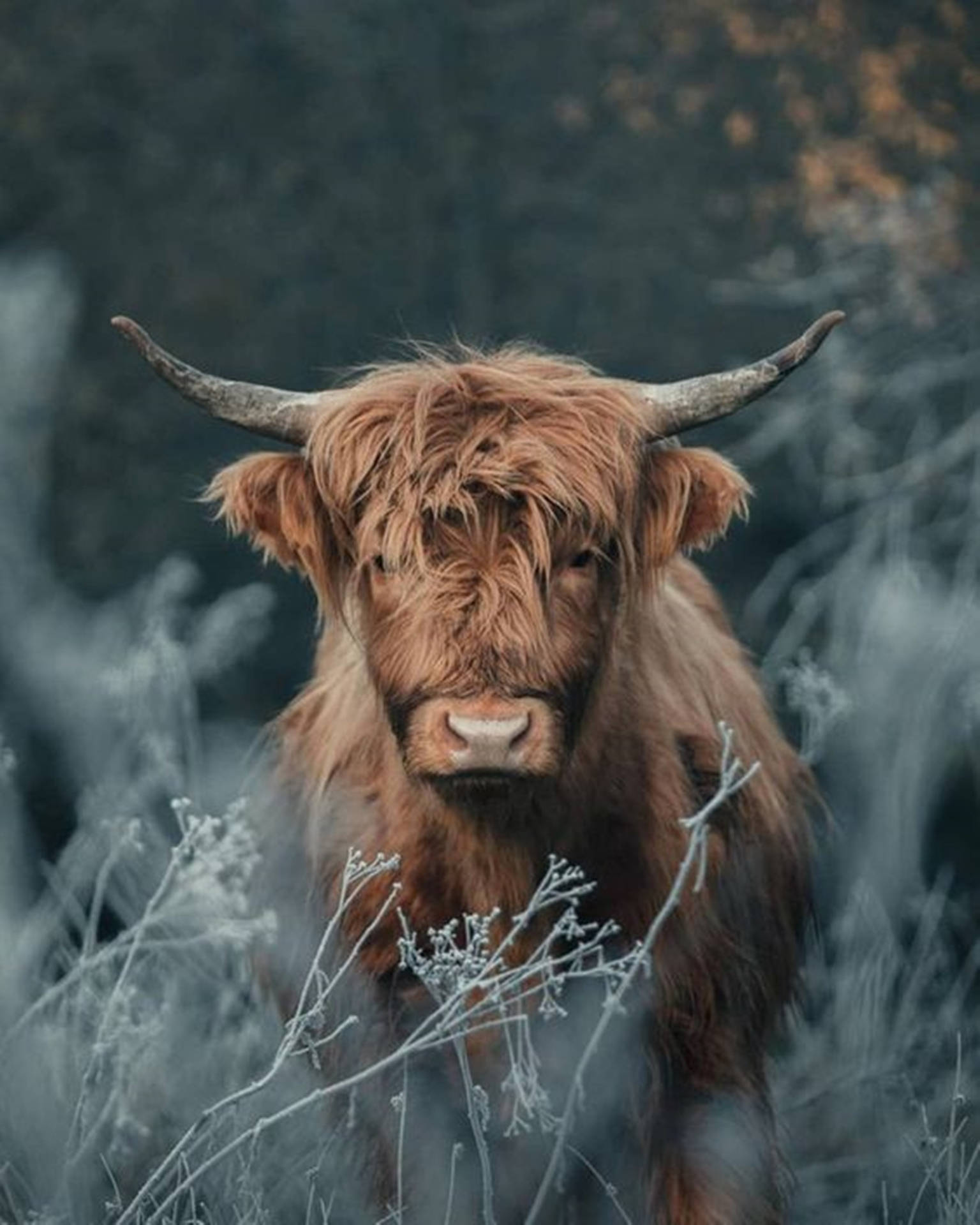 Yak Green Aesthetic Plants Background