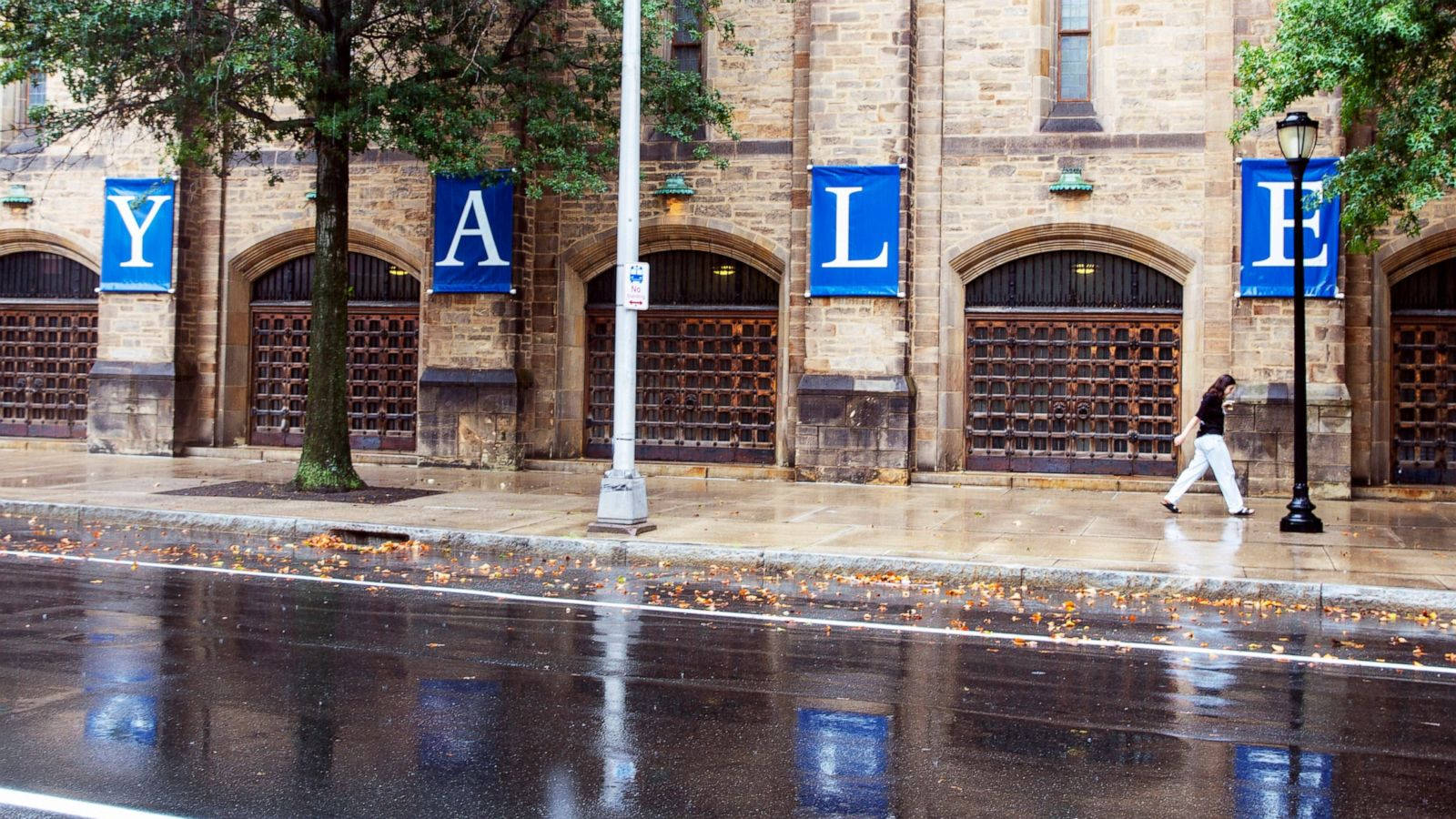 Yale University Banners