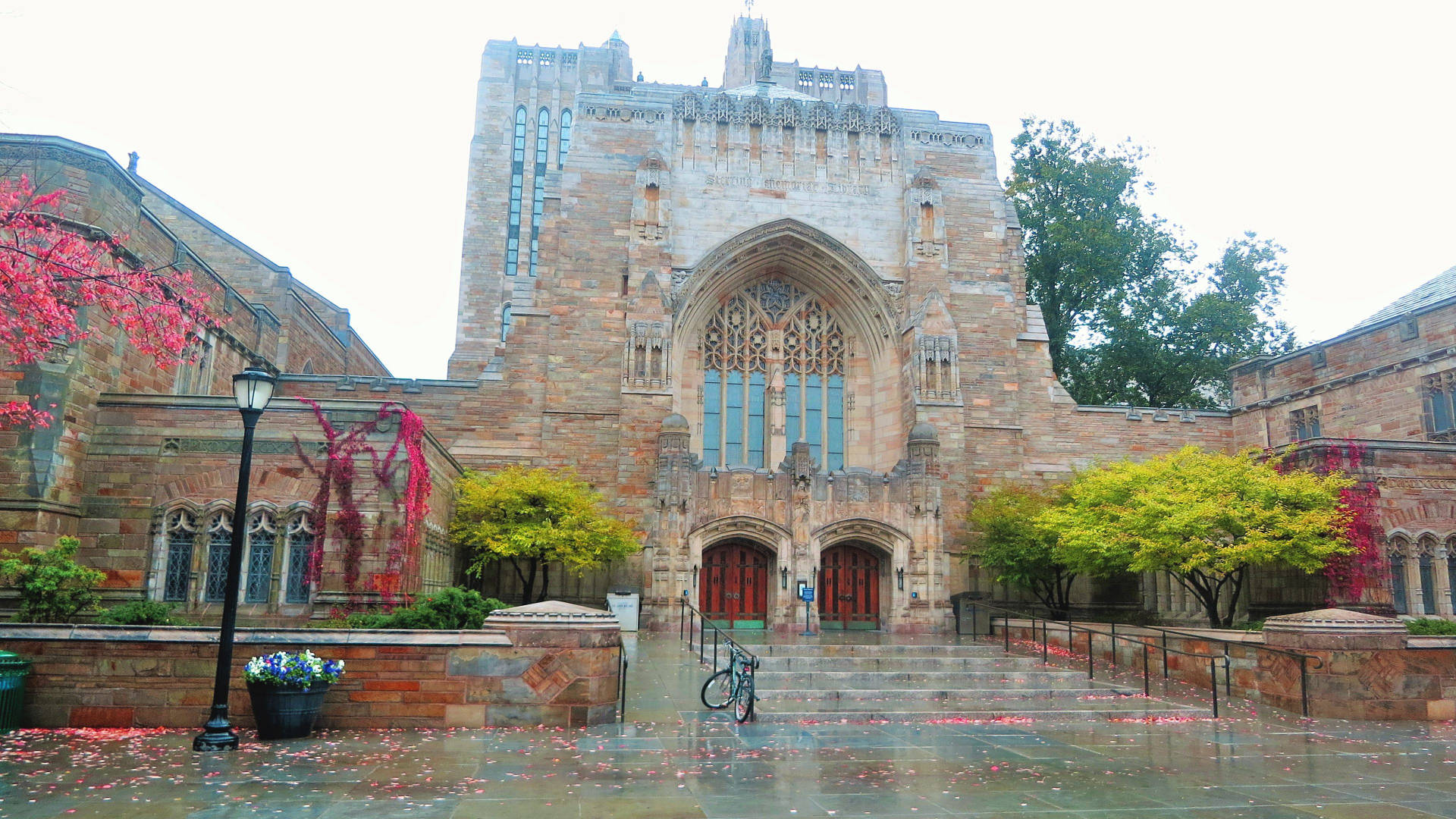 Yale University Sterling Memorial Library Background