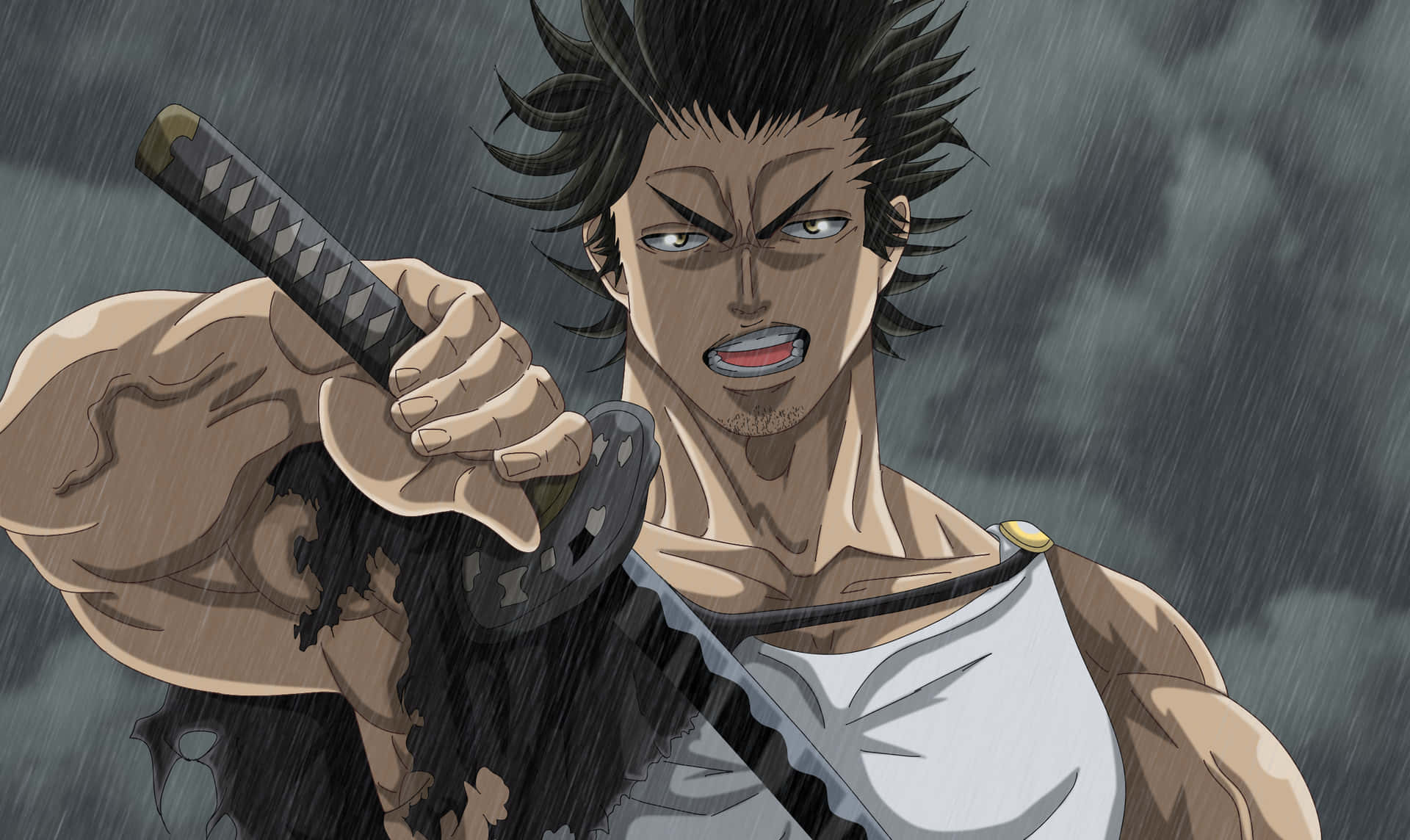 Yami, Hottest Leader Of The Black Bulls Background