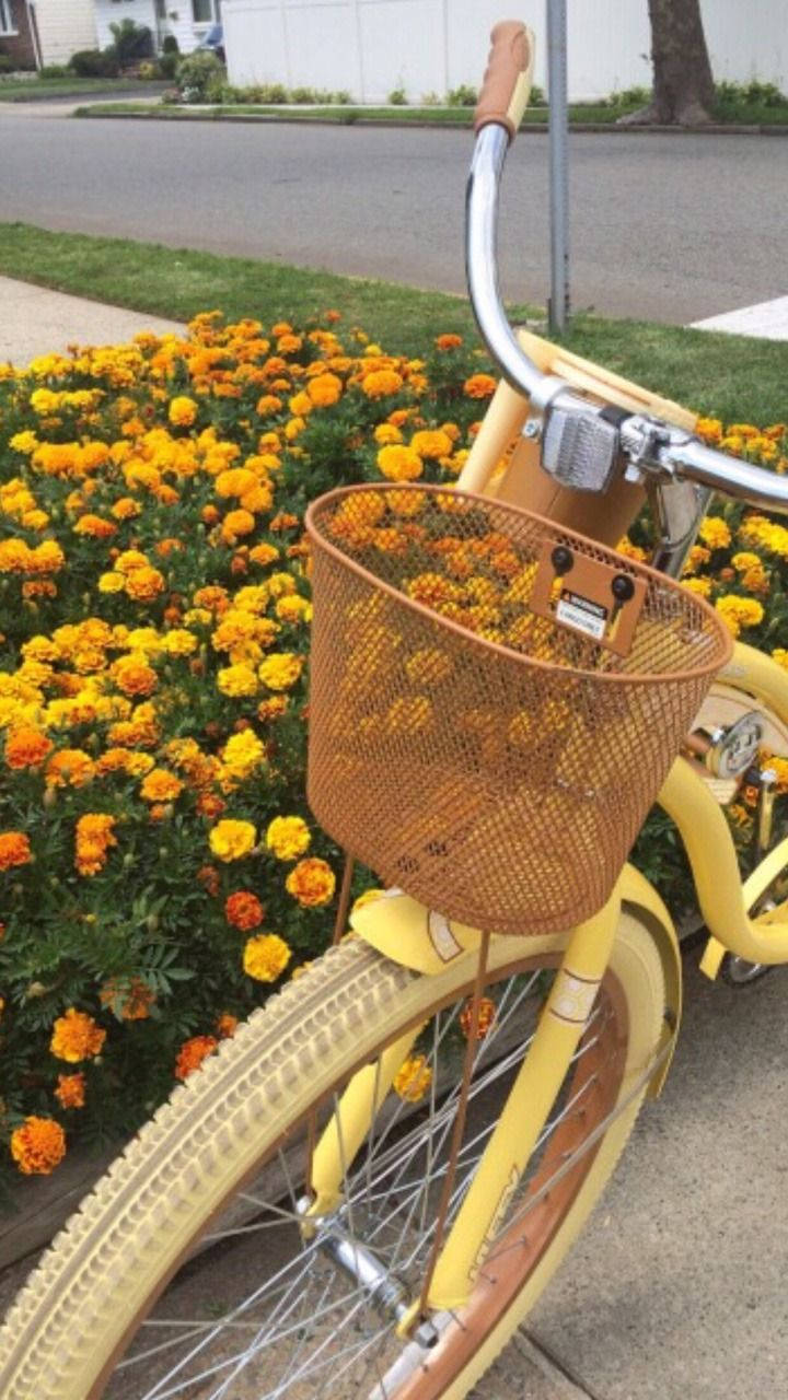 Yellow Aesthetic Bike Background