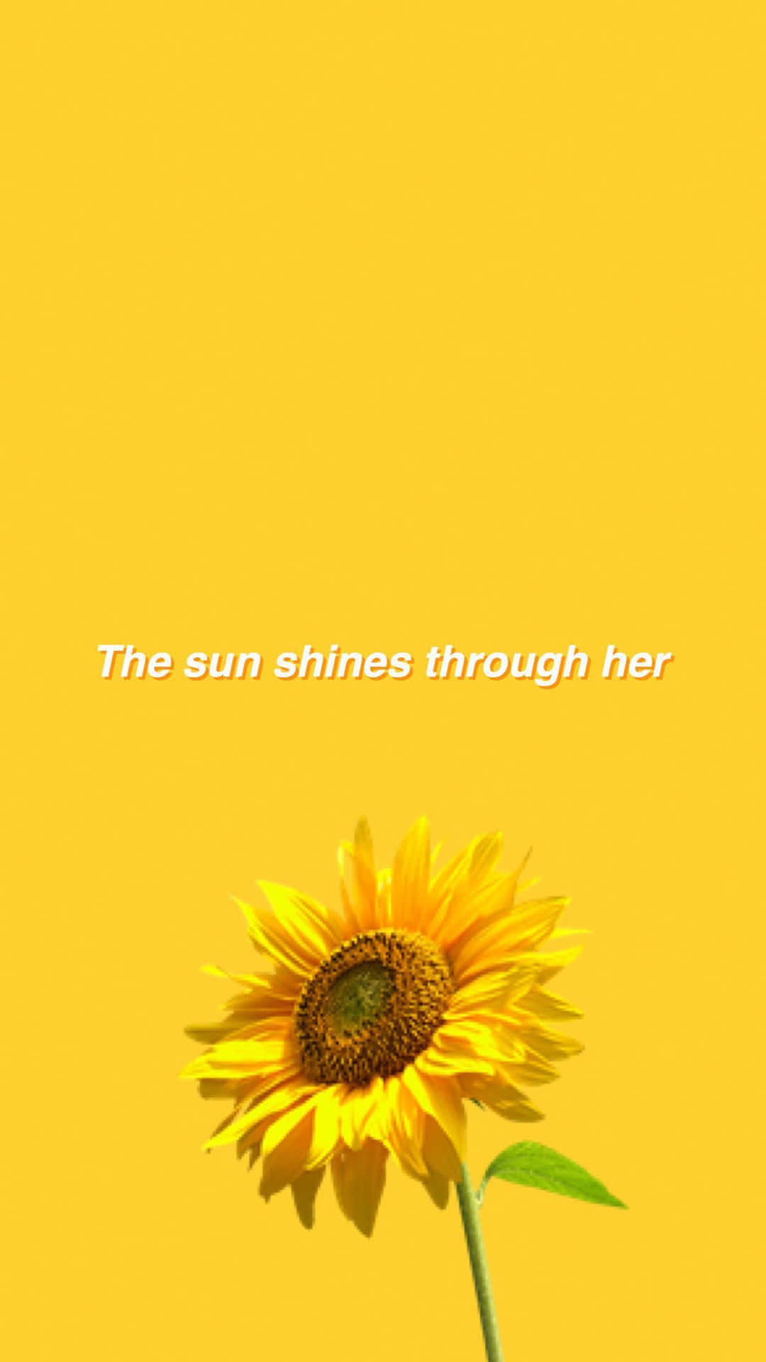 Yellow Aesthetic Iphone Lovely Sunflower