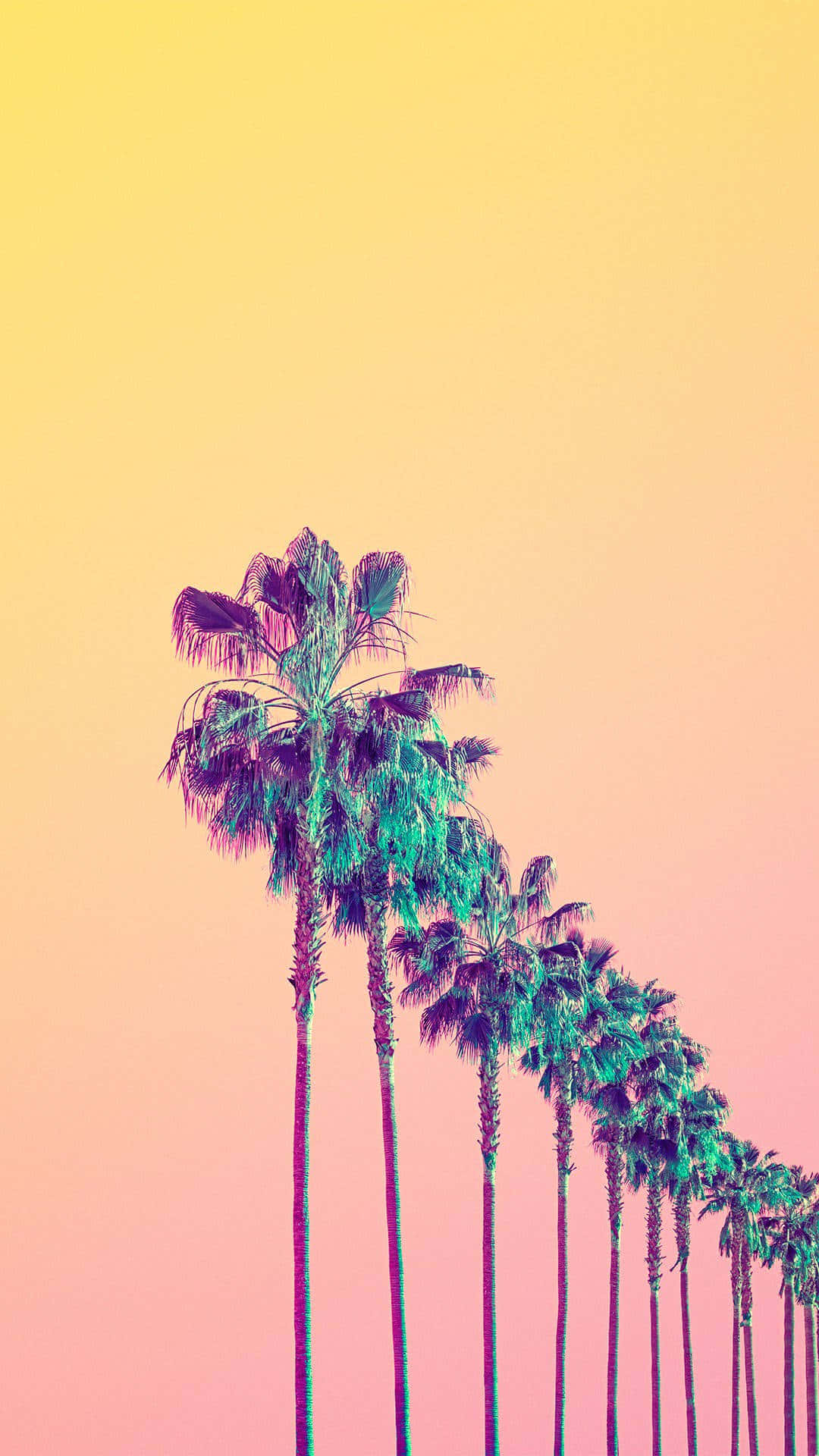 Yellow Aesthetic Phone Palm Trees Background