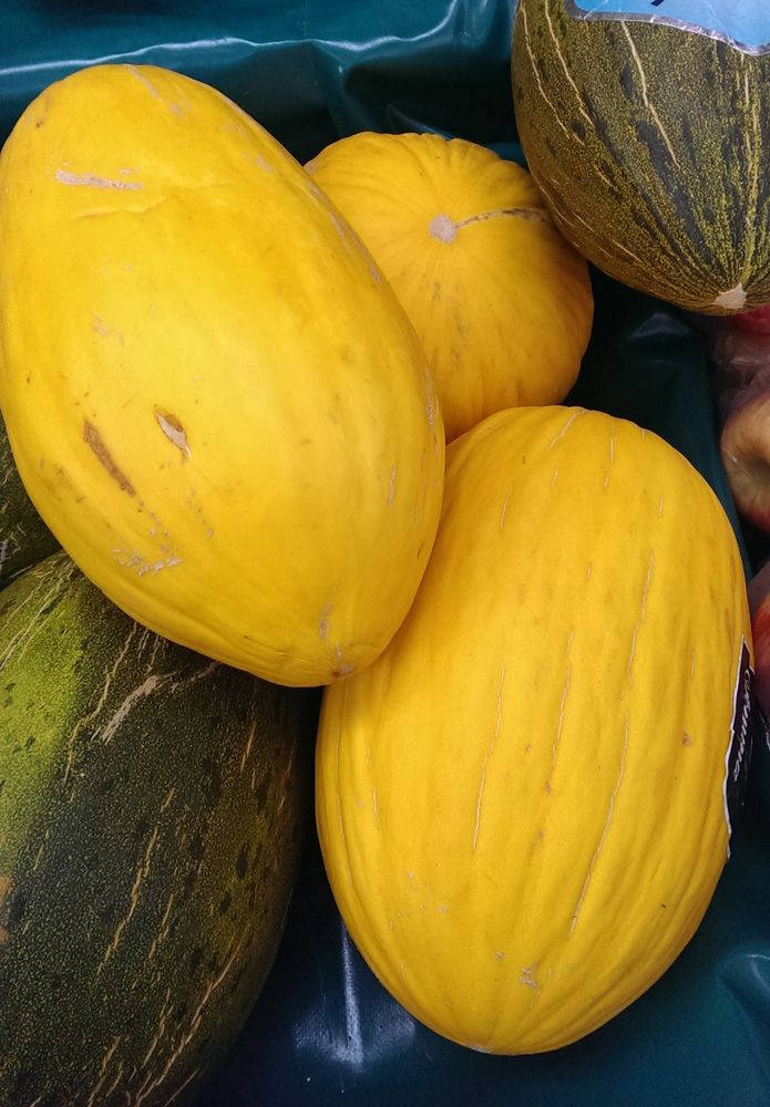 Yellow And Brownish Canary Melon Background