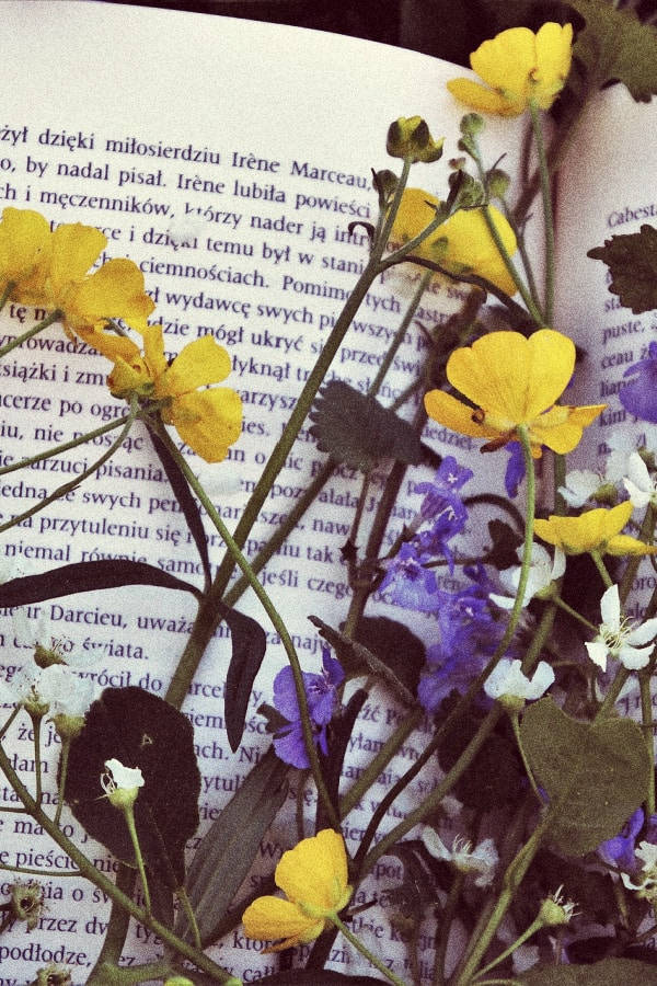 Yellow And Purple Vintage Flower Aesthetic Background