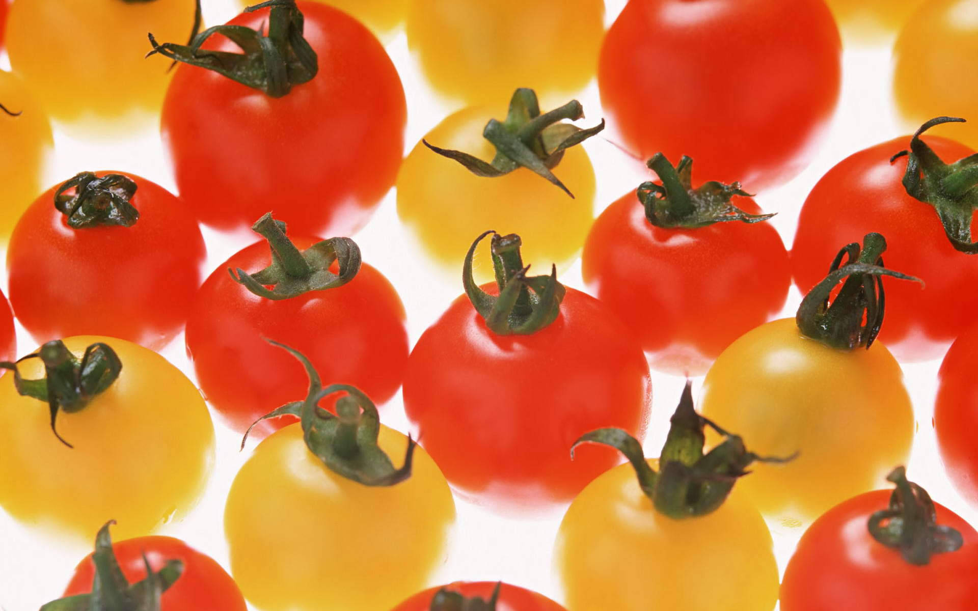 Yellow And Red Tomato Fruits Background