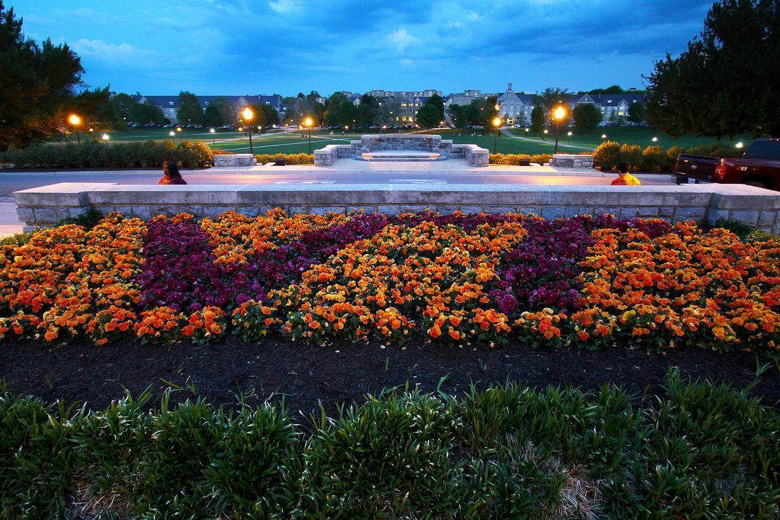 Yellow And Violet Virginia Tech Logo Background