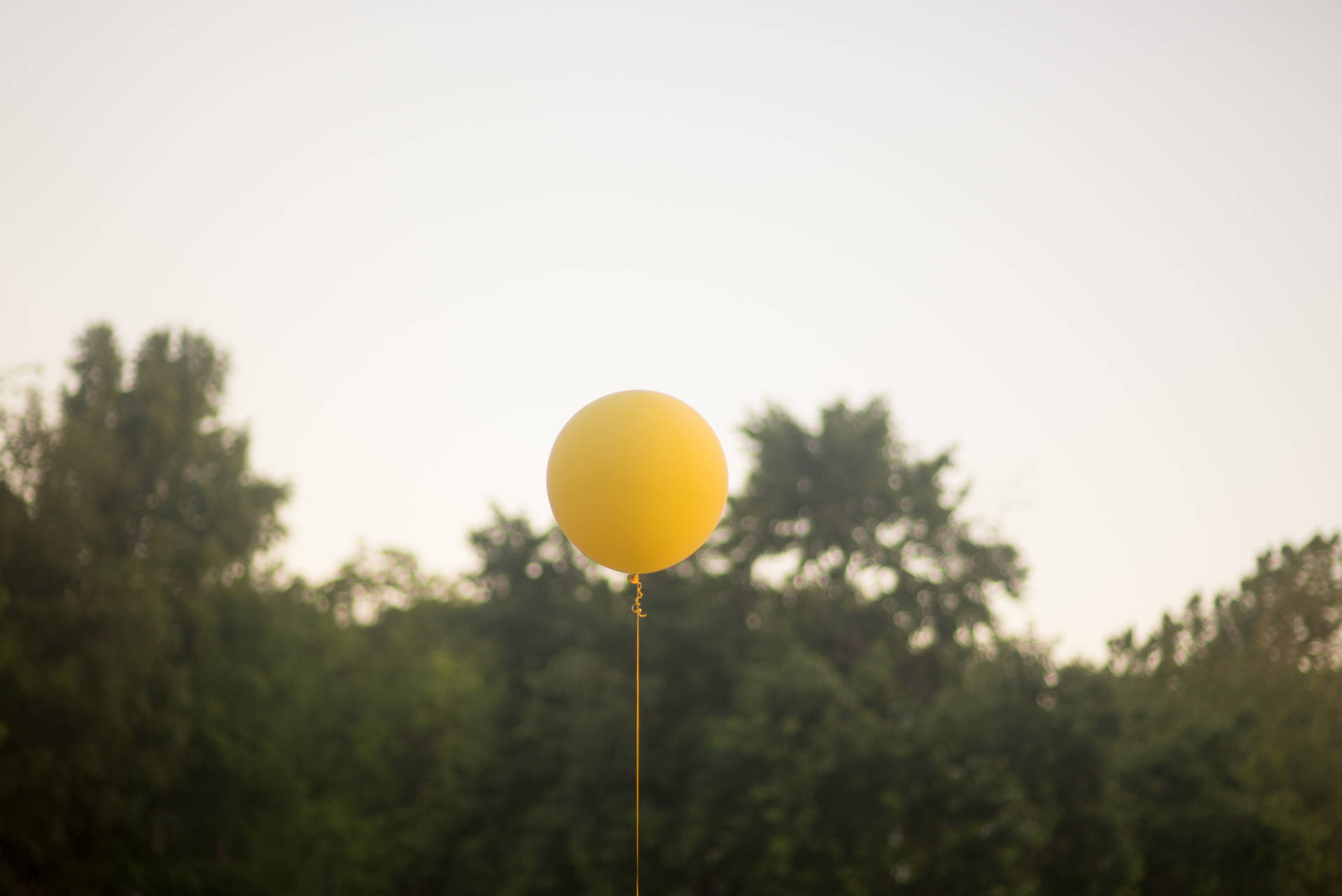 Yellow Balloon Floating Over Trees Background