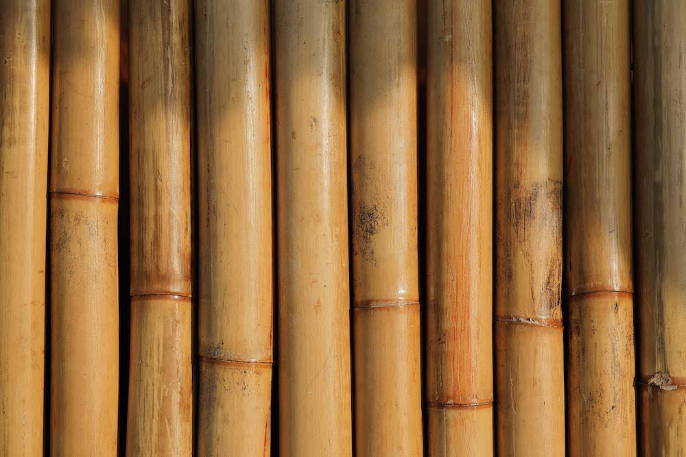 Yellow Bamboo 4k Fence Background