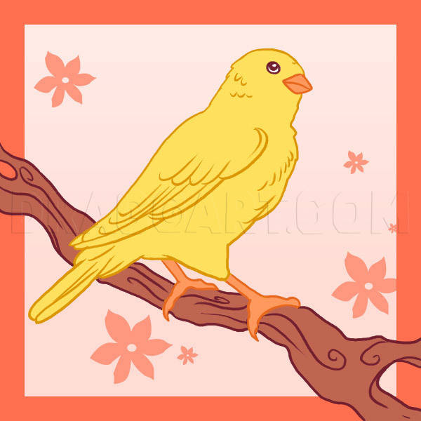 Yellow Canary Bird Graphic Art