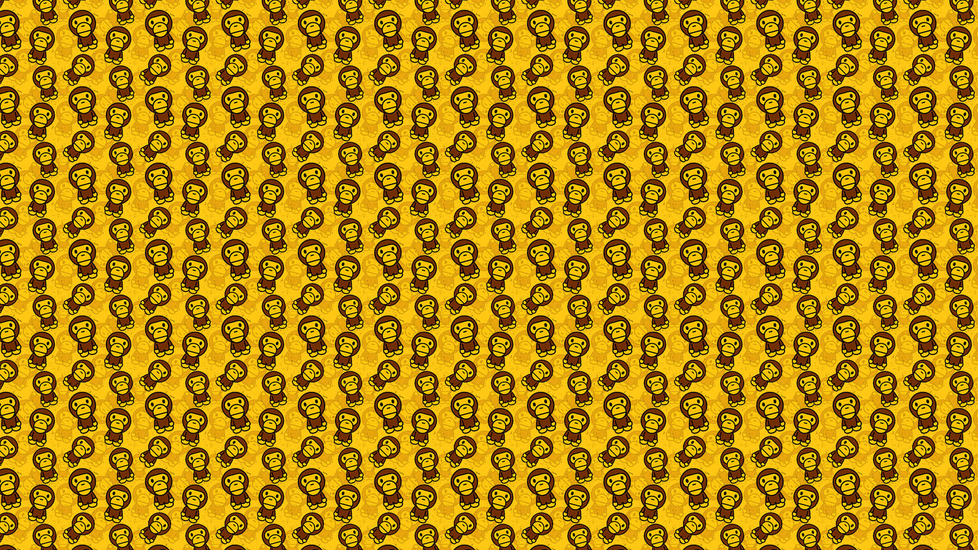 Yellow Chrysanthemum Blossom Background