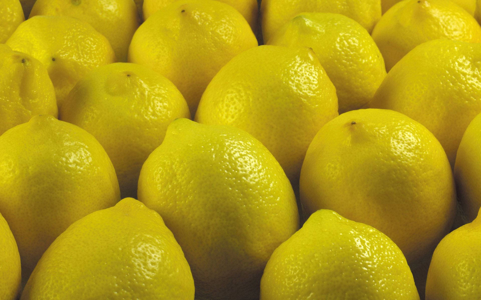 Yellow Citrus Lemons Background
